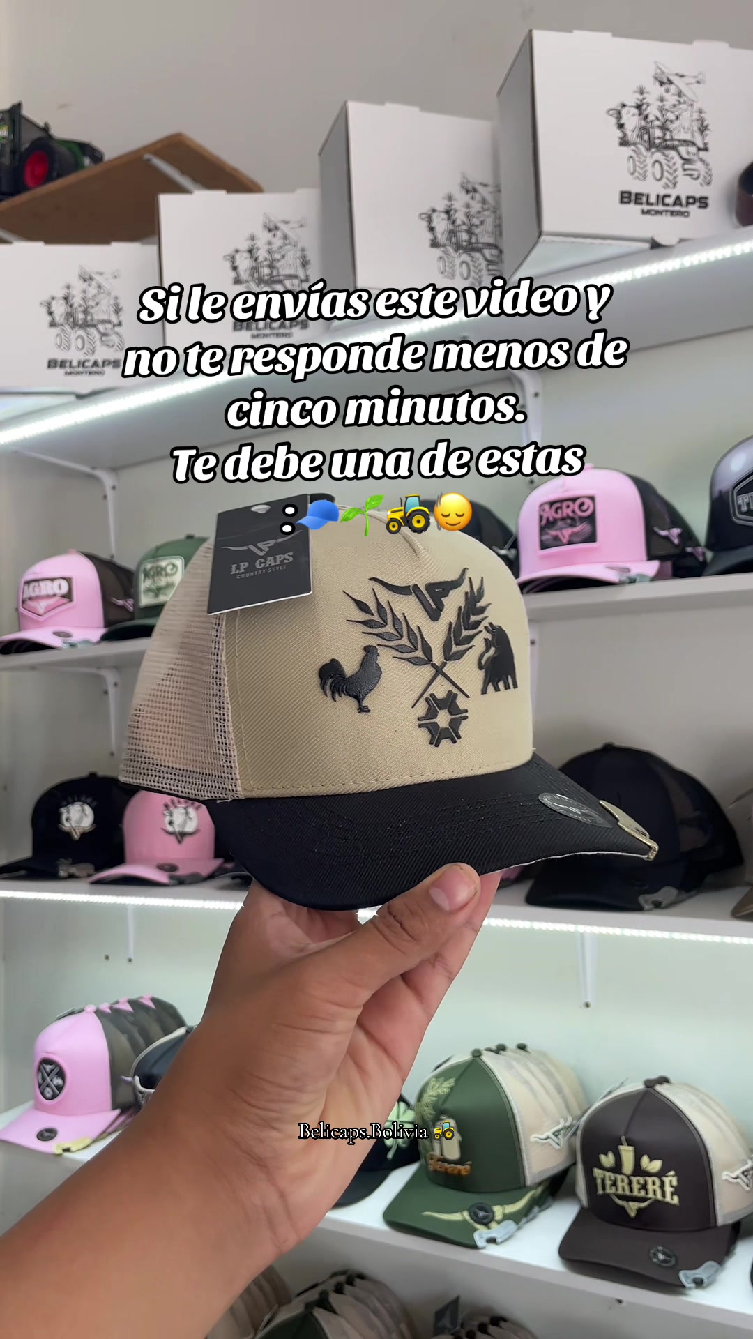 @BELICAPS🧿🧢