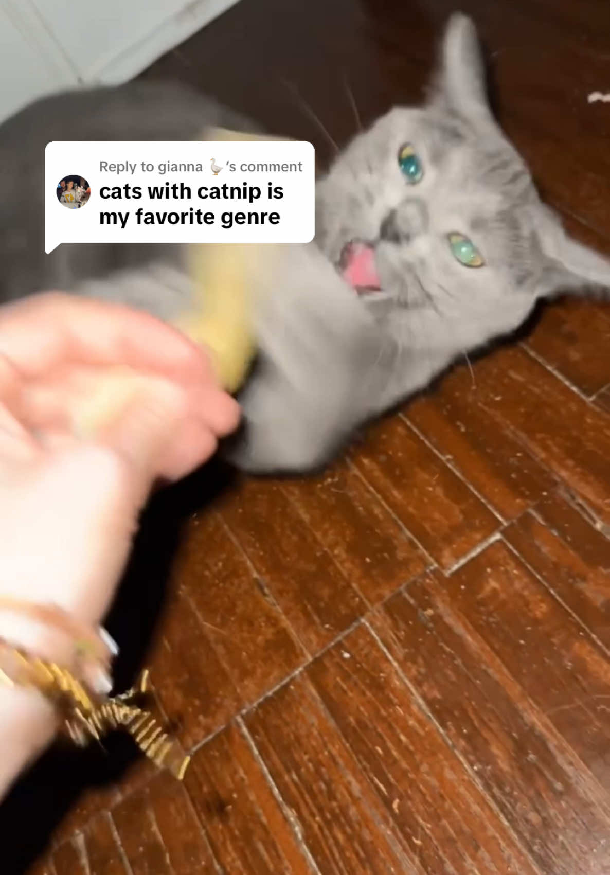 @𝓔𝓭𝓮𝓷 𝓚𝓪𝔂𝓪