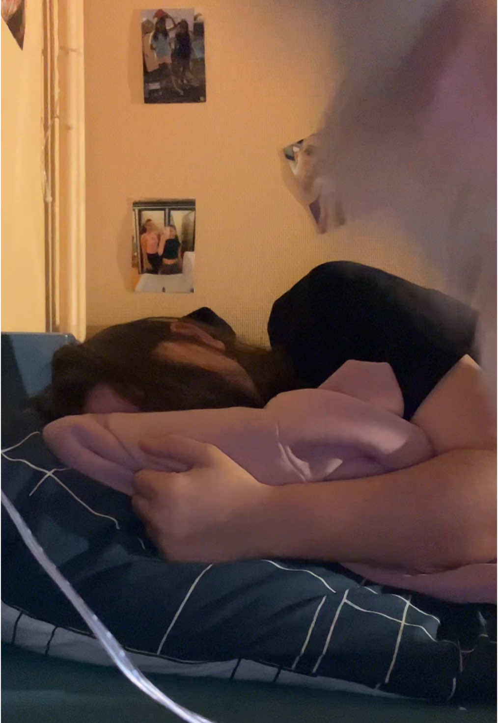 @🧸🧸