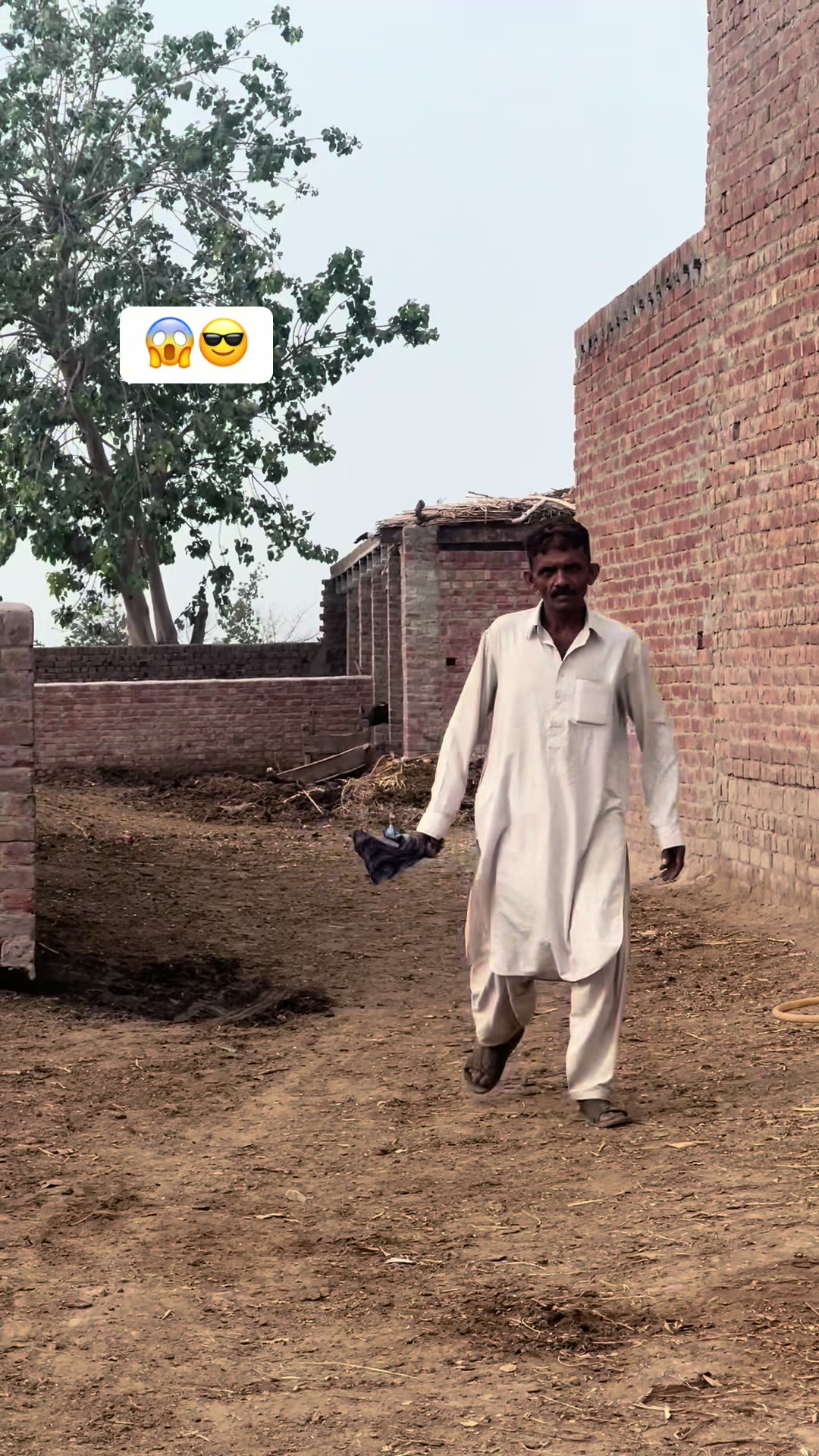 @پینڈو بوائز 378
