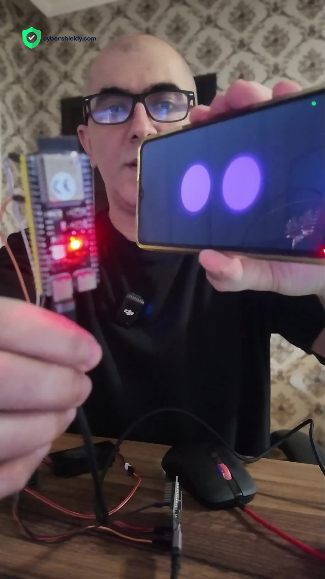 @cybershieldy.com