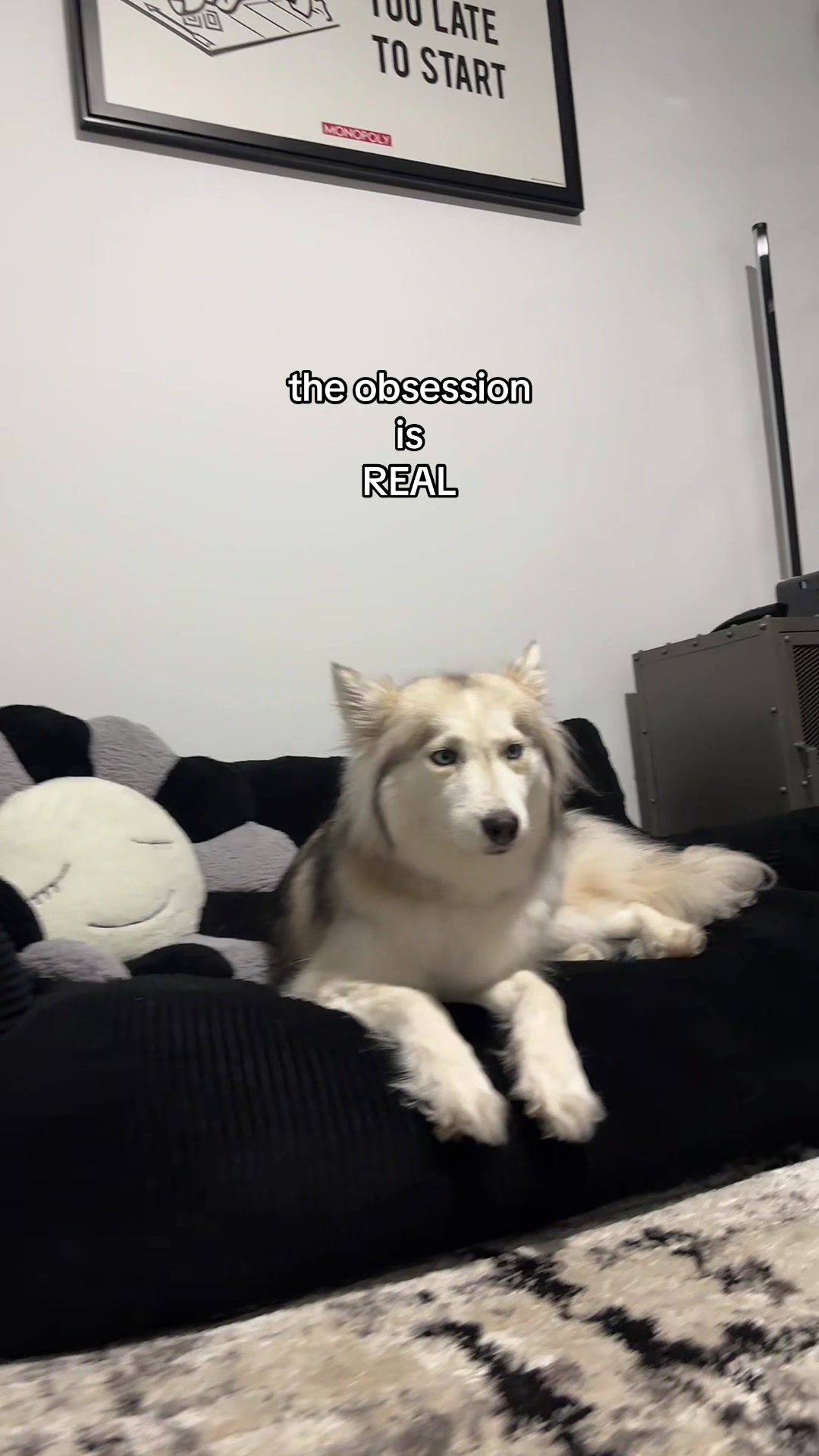 @lifewith2huskies