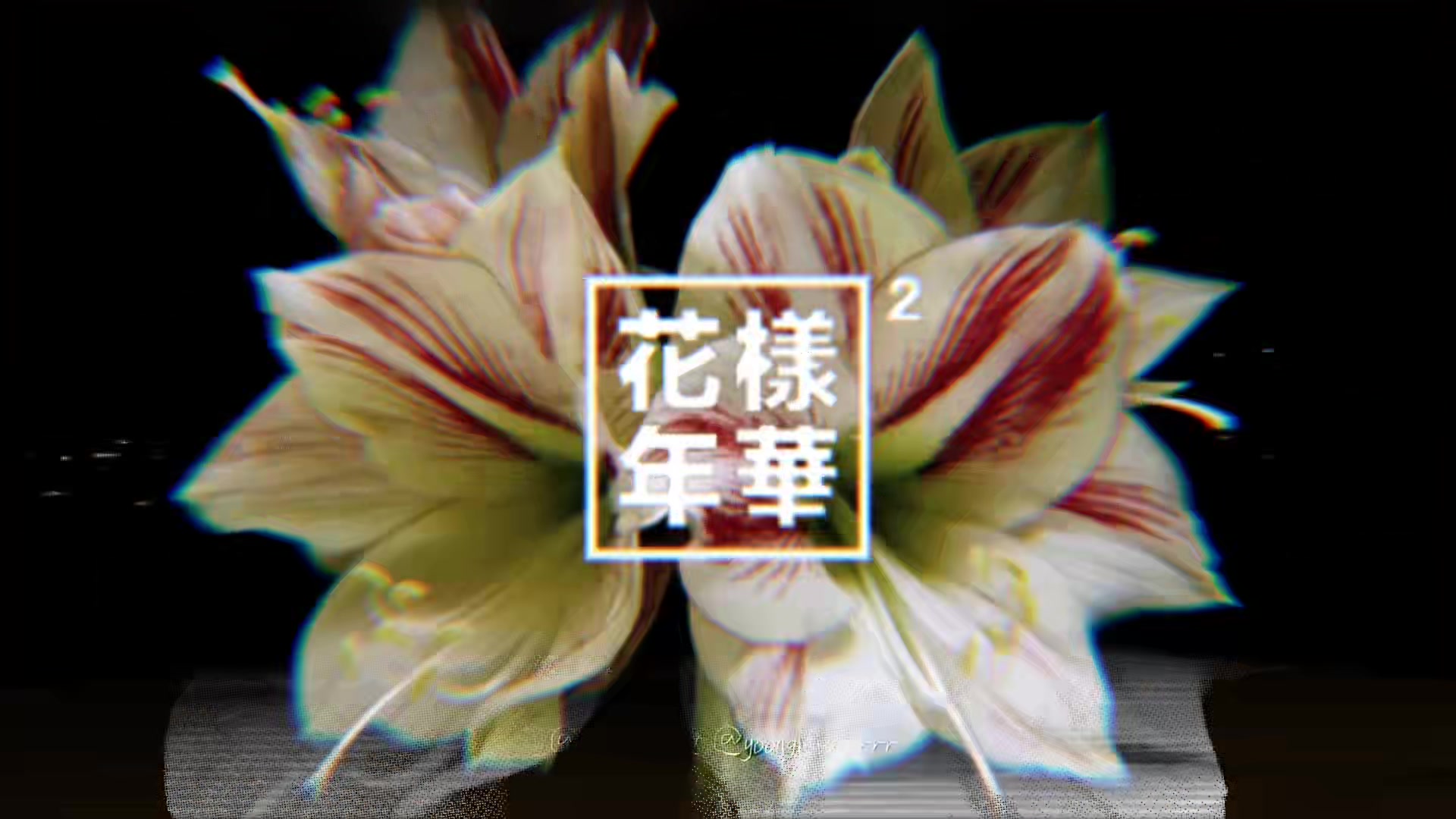 @ami⁷