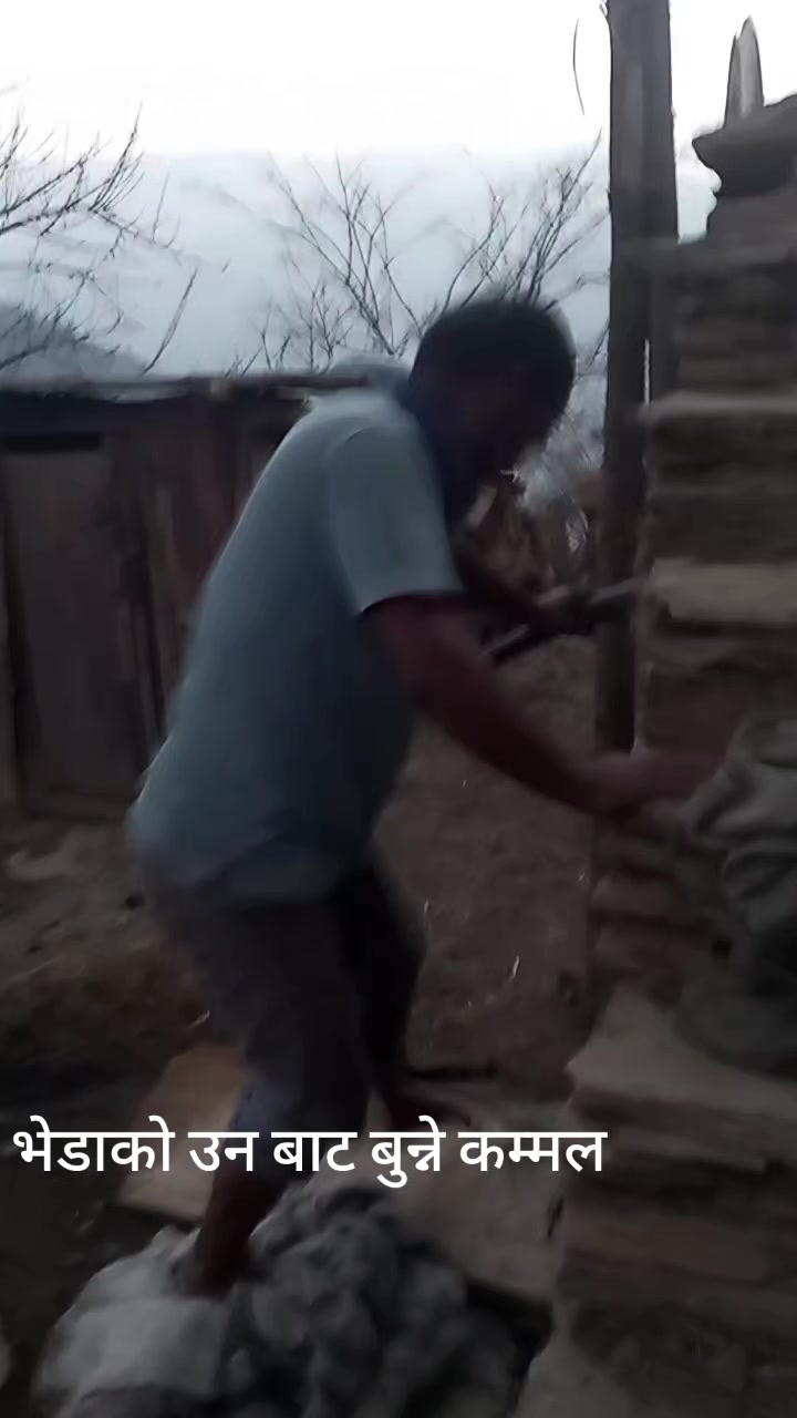 @dhanshree723