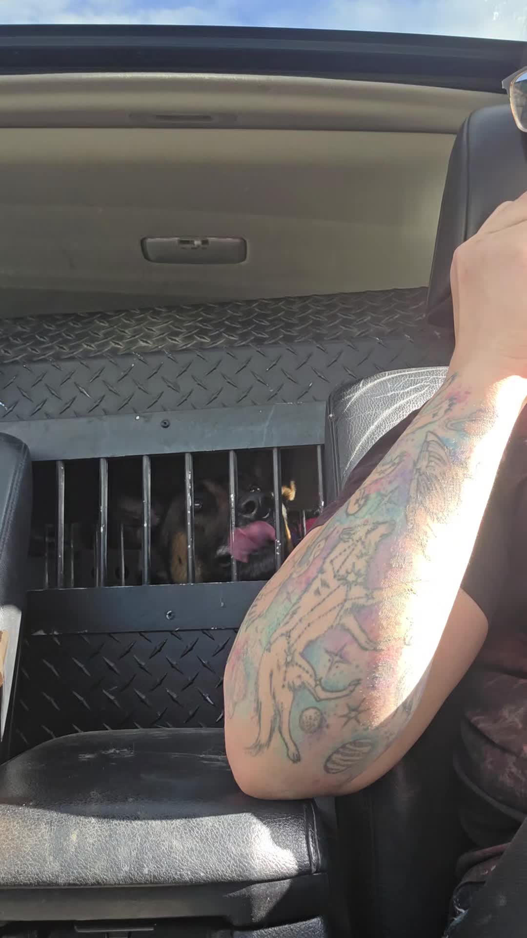@Steph-RaisingHell.Hounds🇨🇦