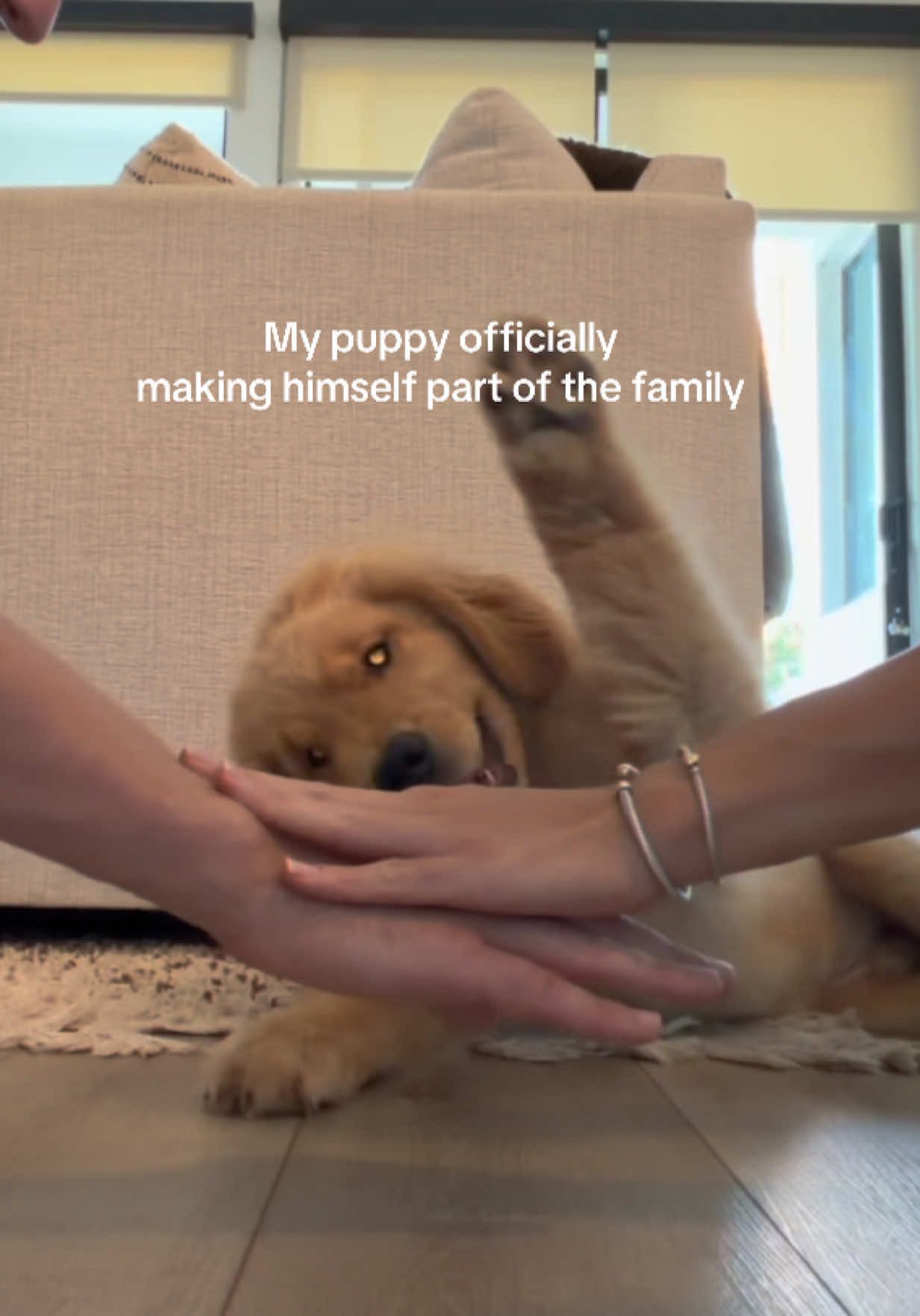 @Romeo the Retriever