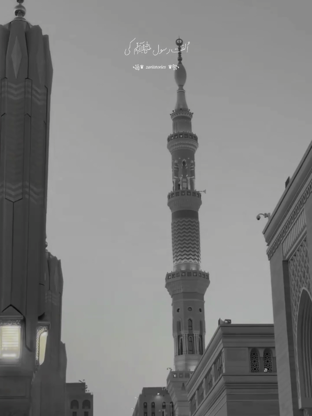 @꧁♛ 𝑧𝑎𝑟𝑖𝑖𝑠𝑡𝑜𝑟𝑖𝑒𝑠 ♛꧂