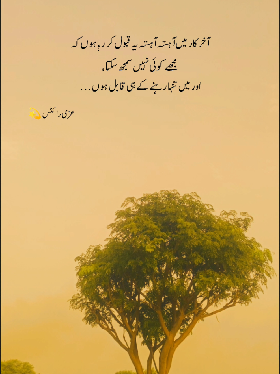 @Uzii write💫