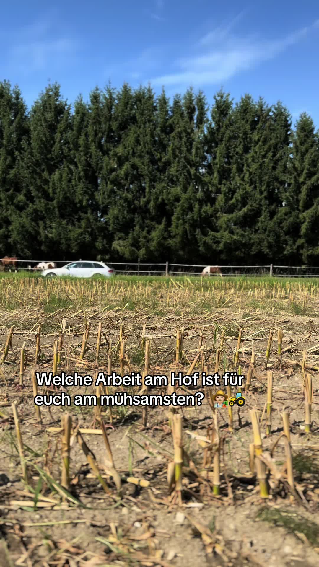 @FarmTok