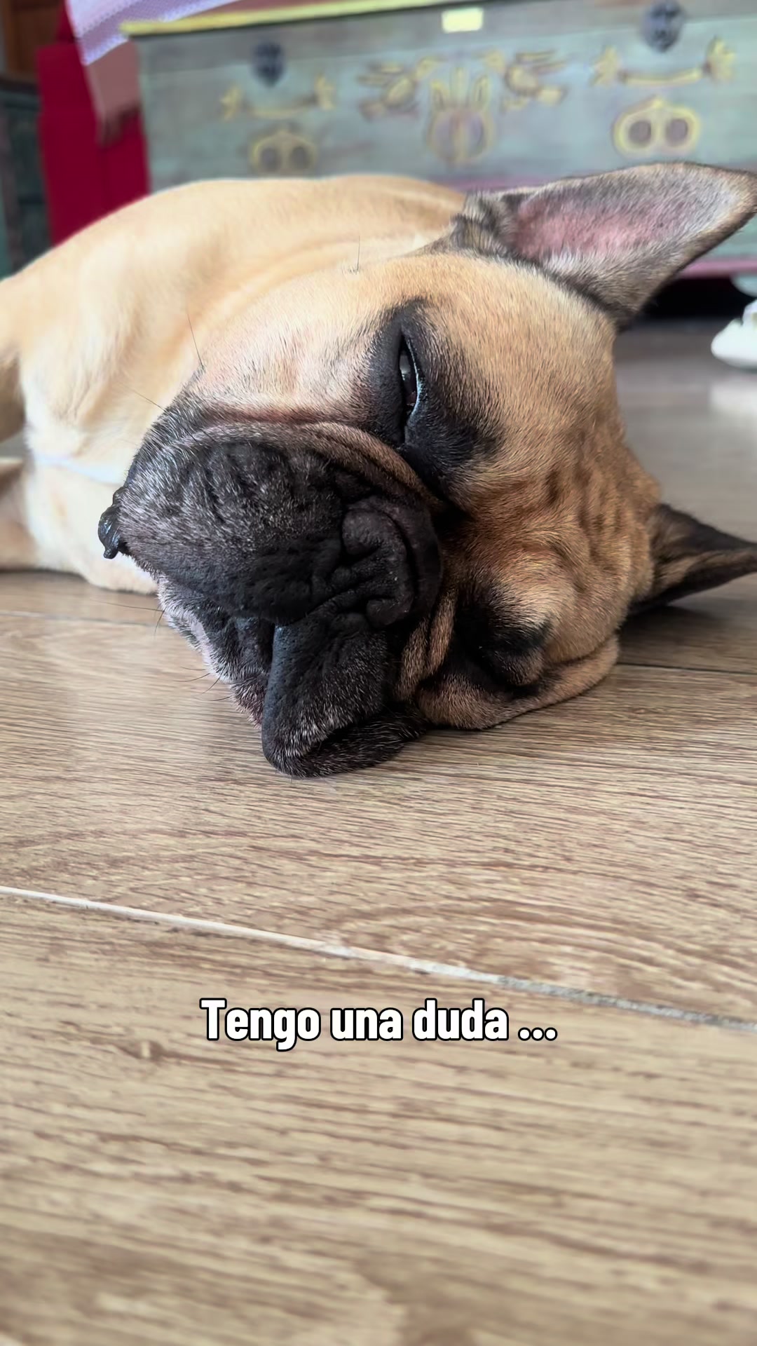 @Teamocerdito