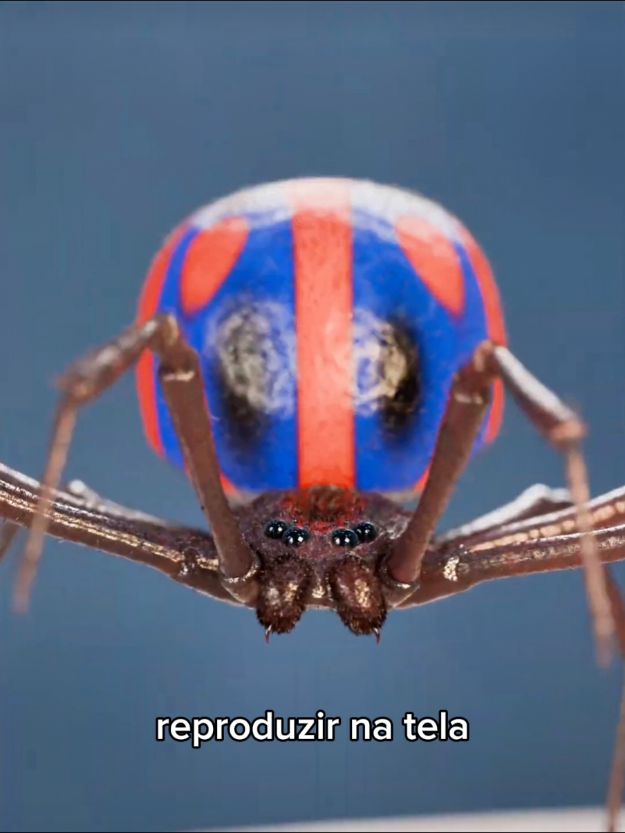 @Curiosity