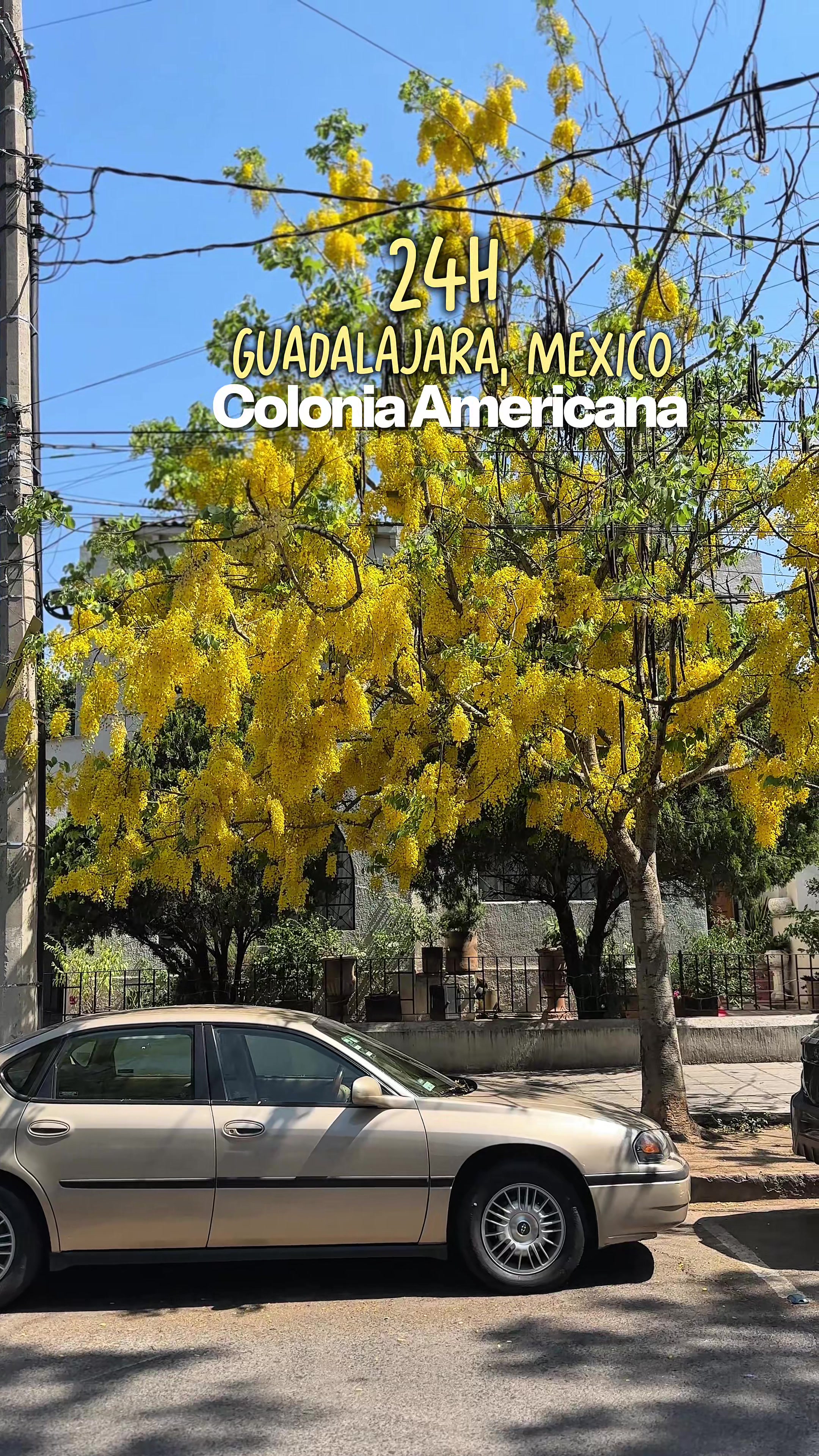 @Julia