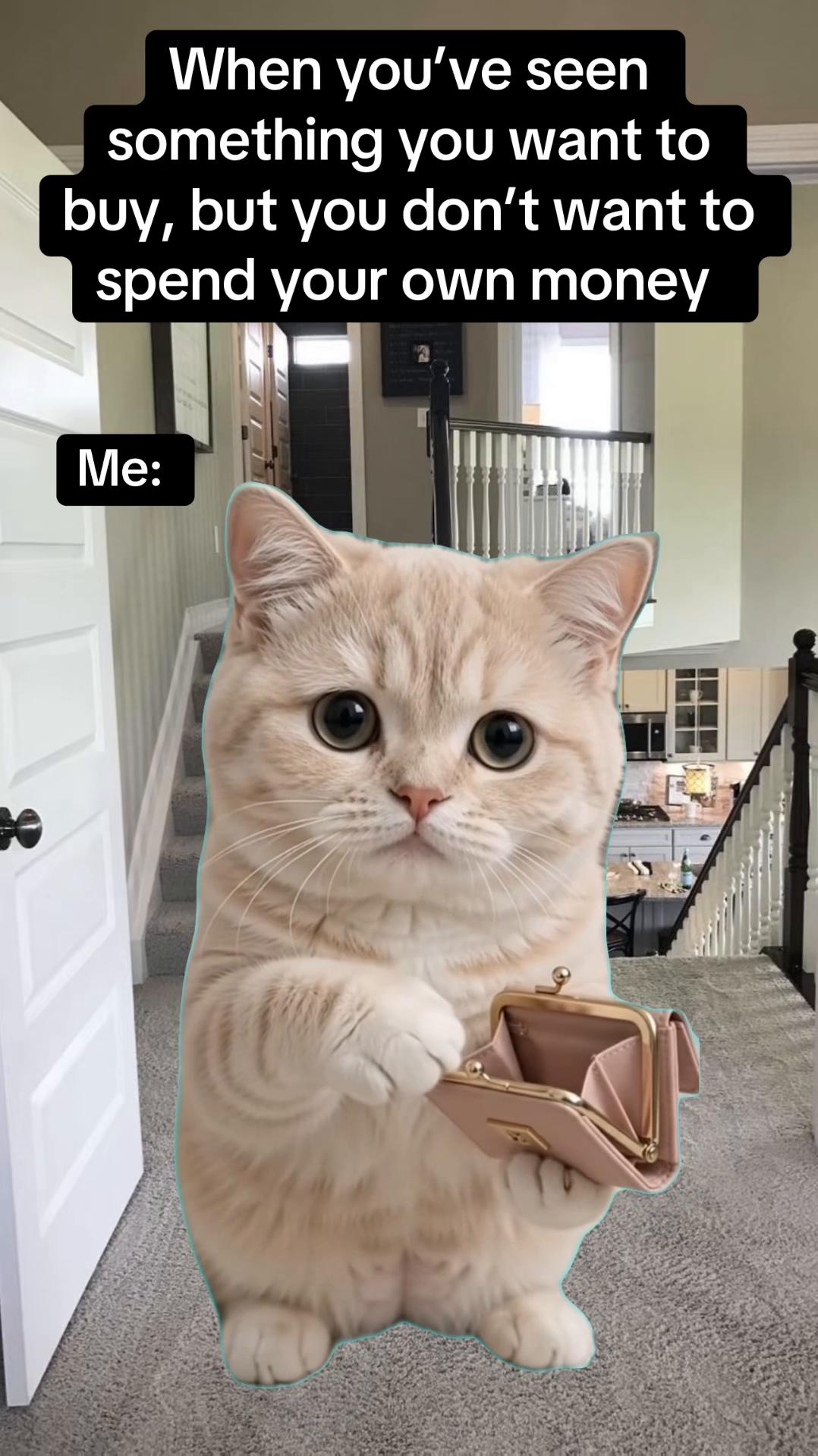 @Pixie Memes