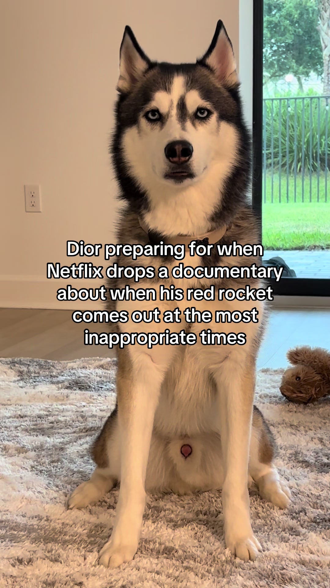 @lifewith2huskies