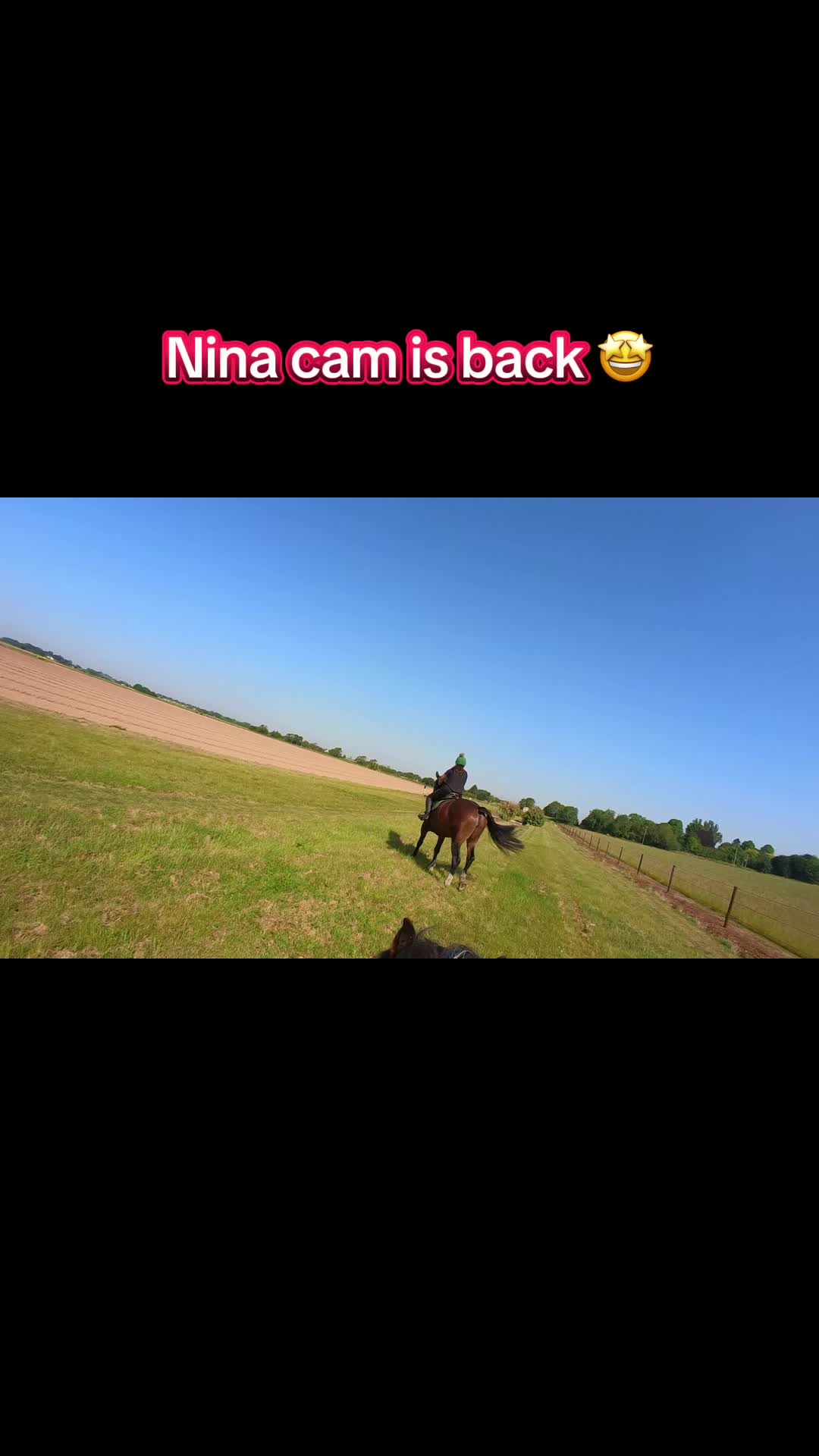 @Nina&rsquo;s Pony Adventures ❤️
