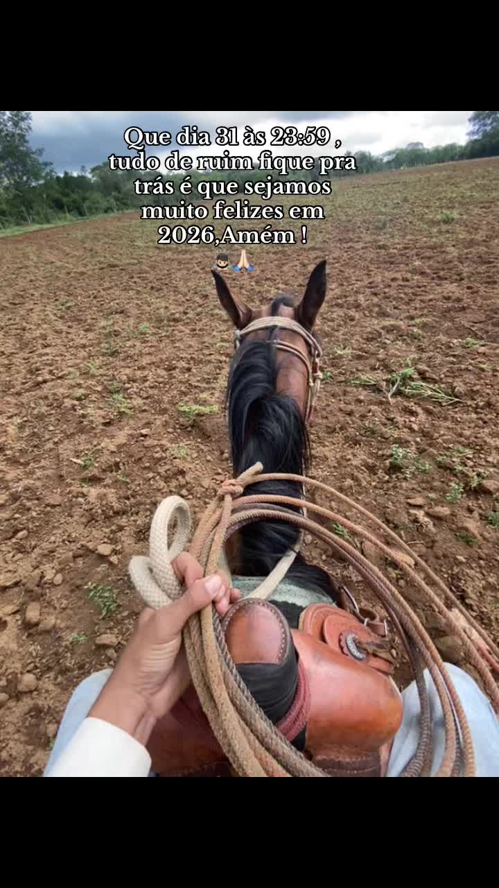 @silva__uai