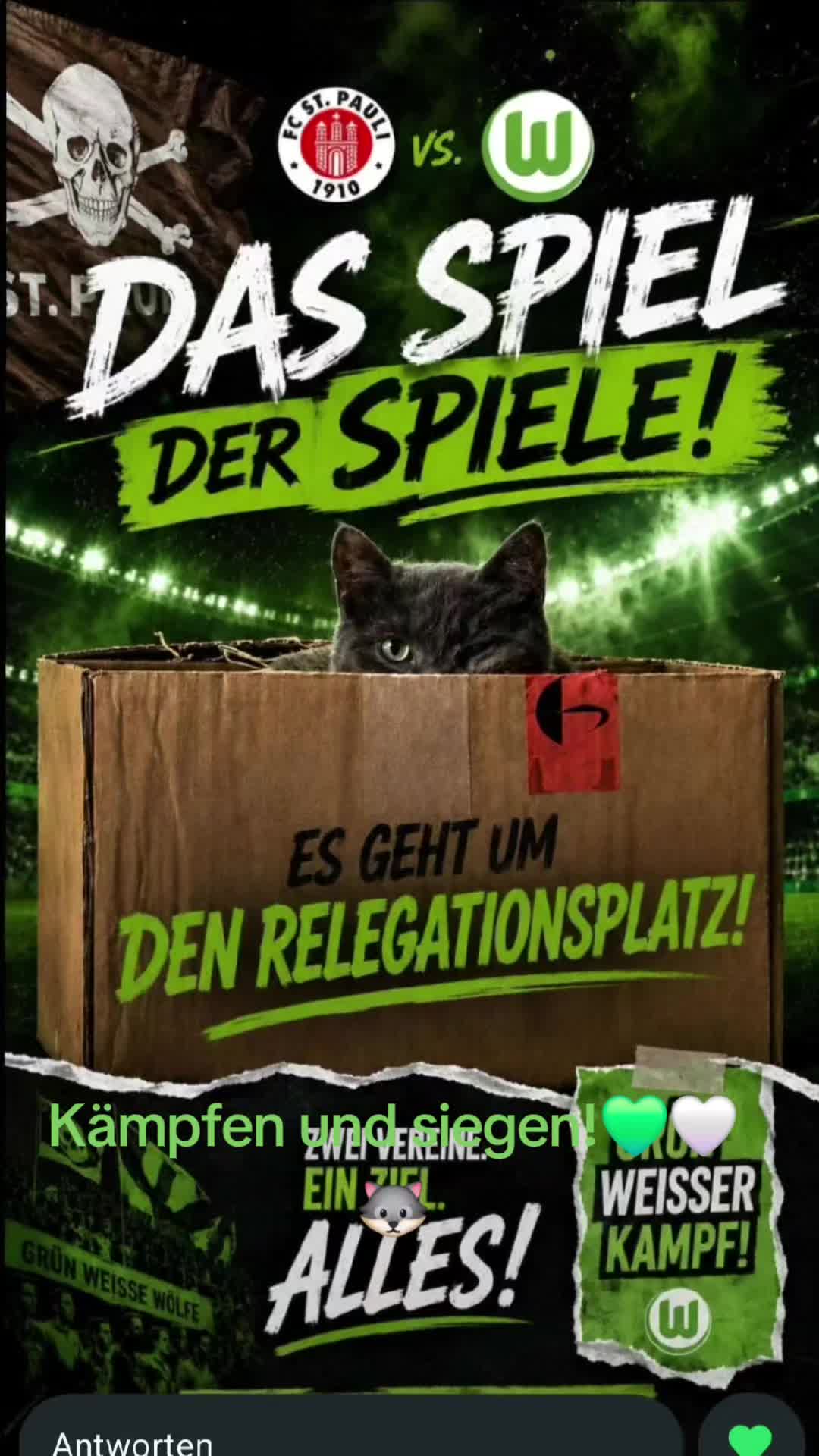 @PaulWolf🐺💚🤍