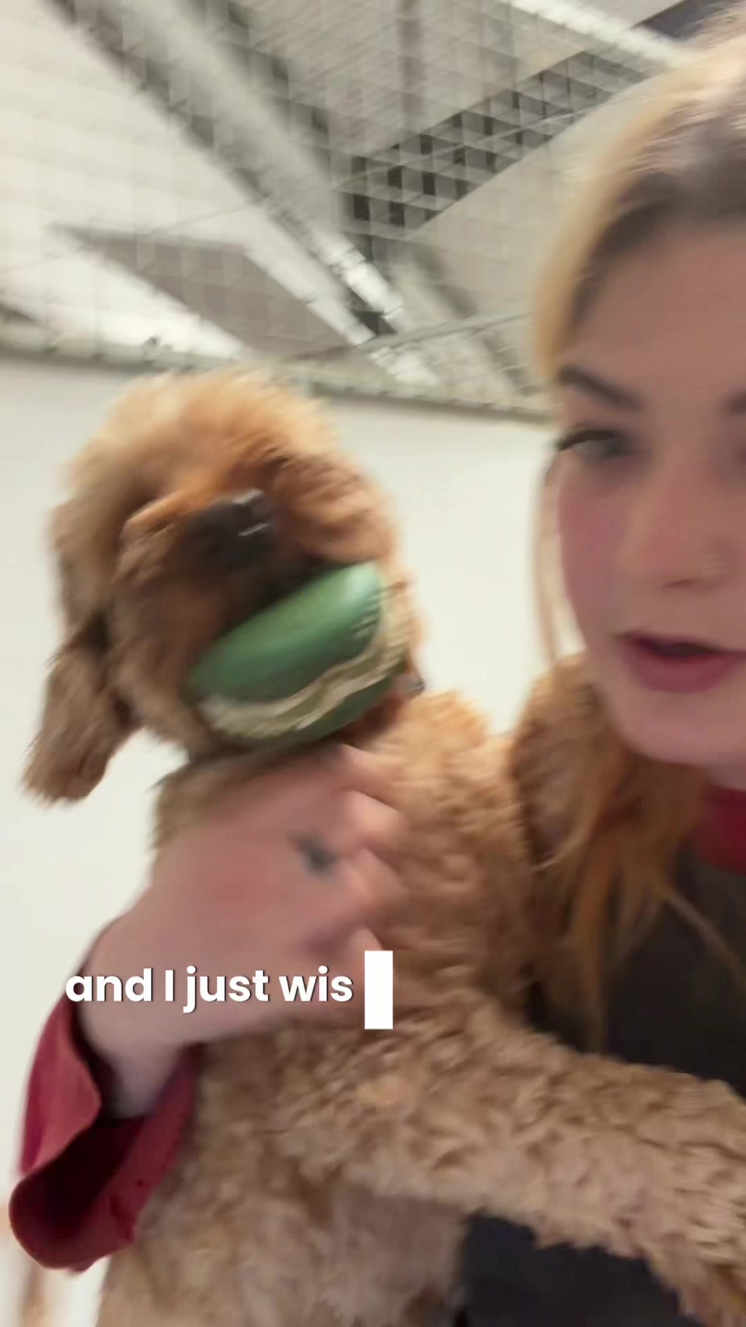 @danibeardall