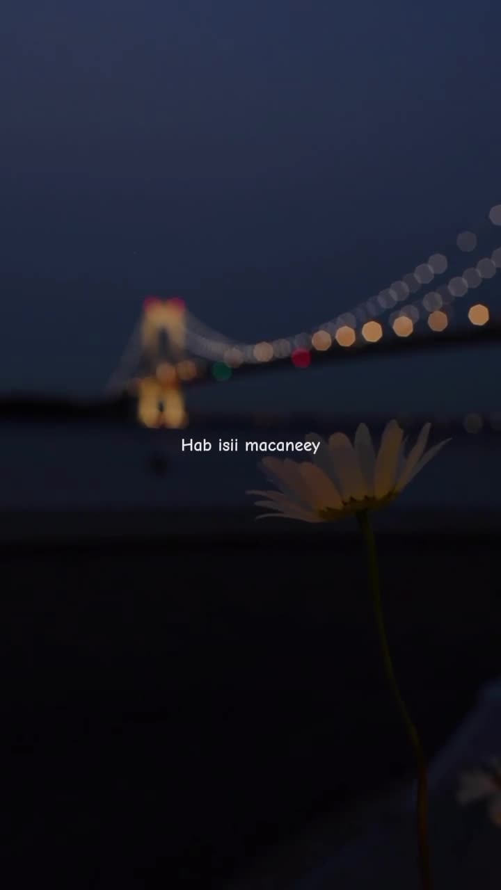 @𝗠𝗨𝗦𝗔𝗔𝗟𝗜𝗗