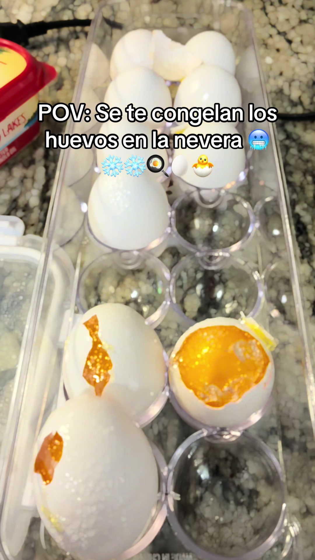 @Flavia La Luna Latina