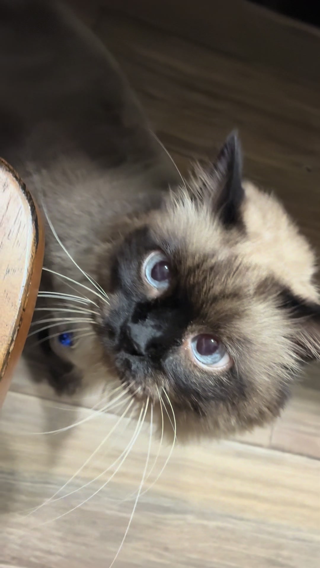 @Lisa&rsquo;s Sonrisa