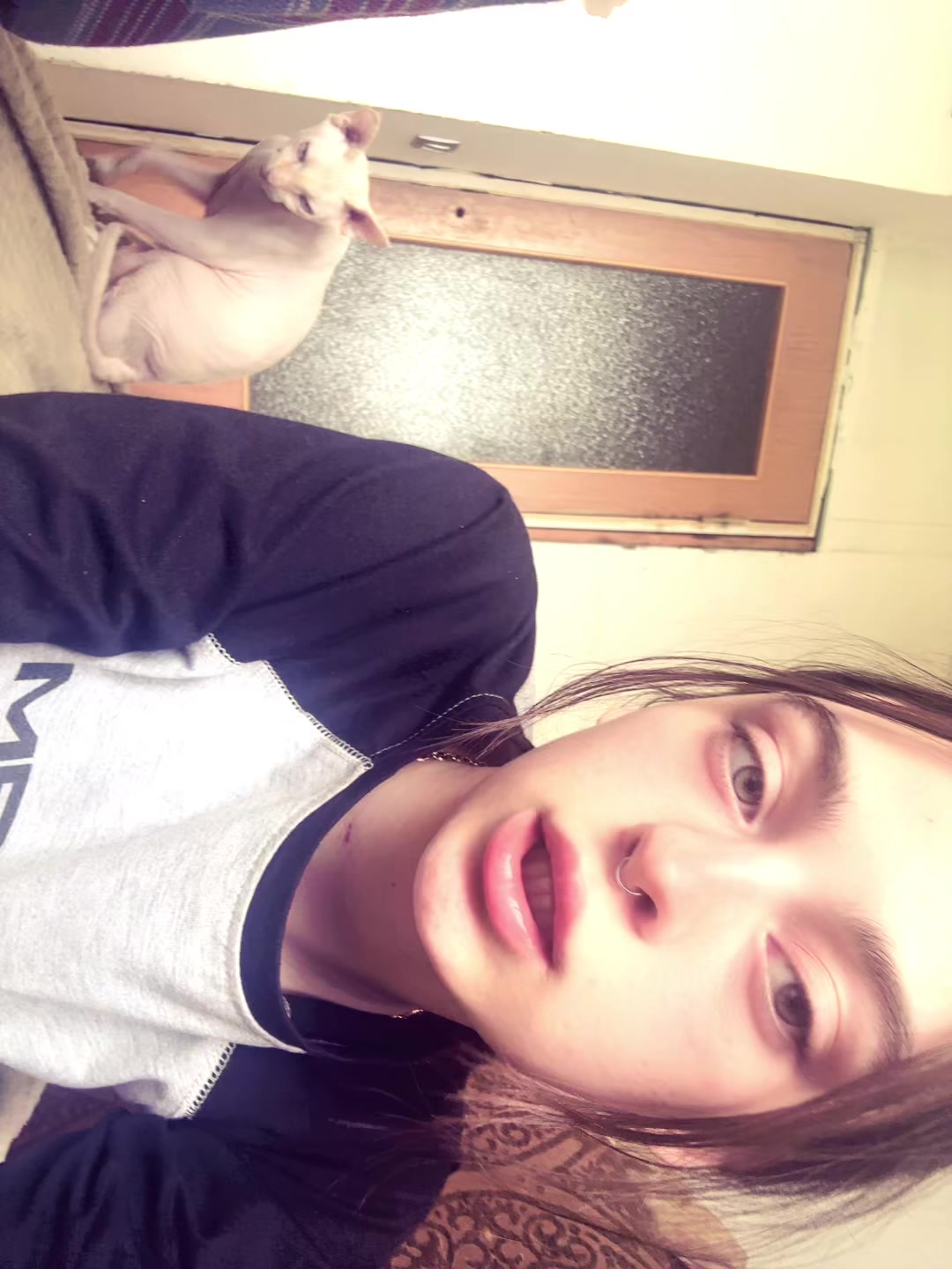 @alenenok_meow