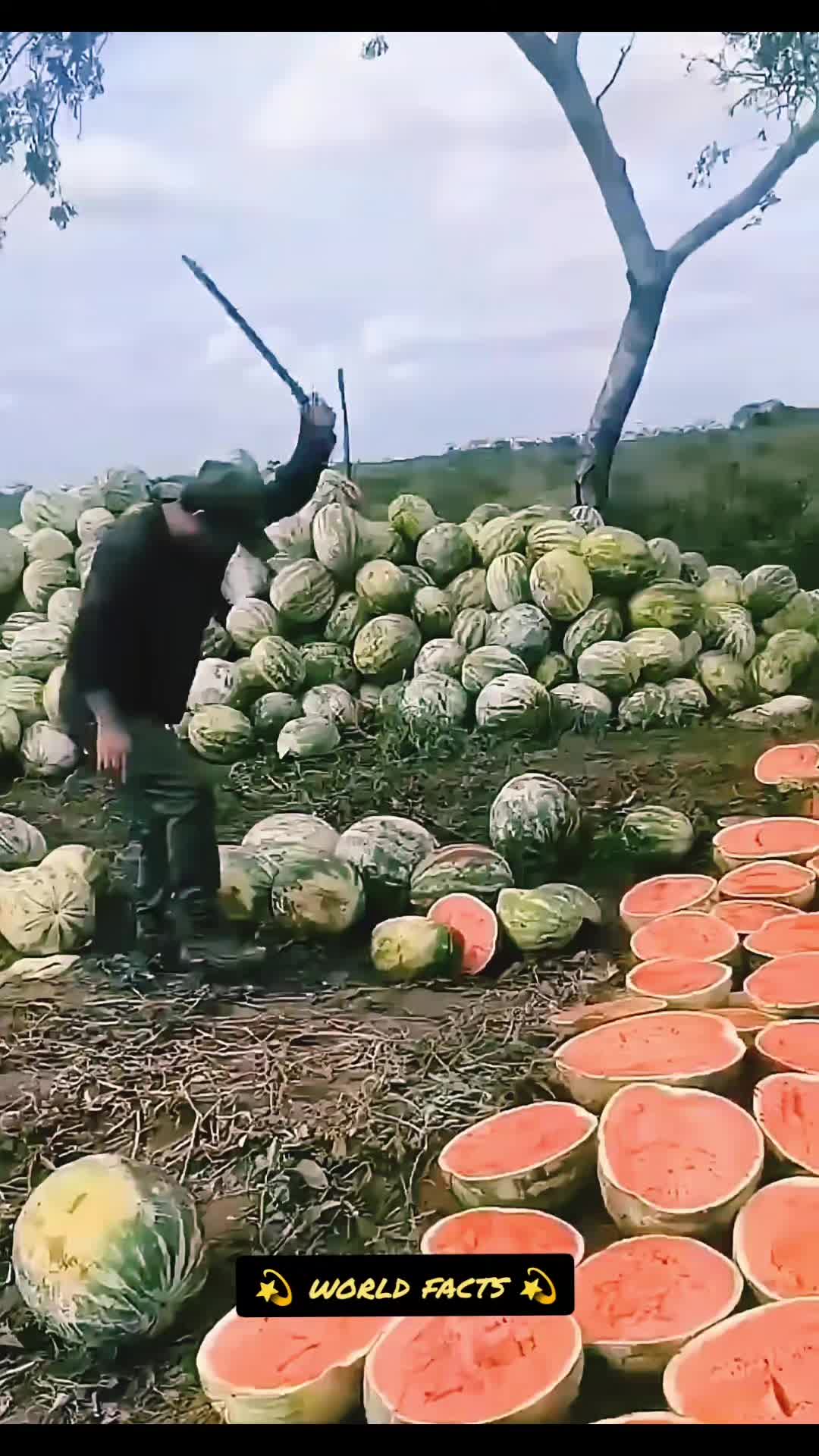 @WorldFacts