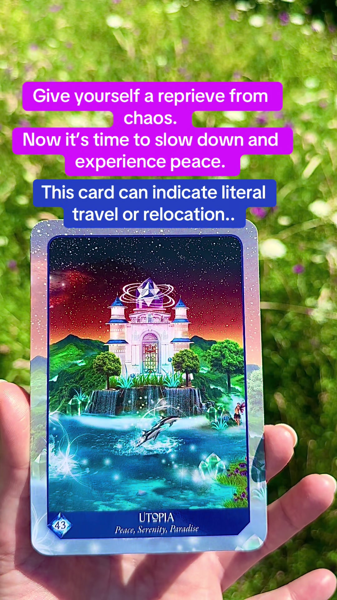 @Lia