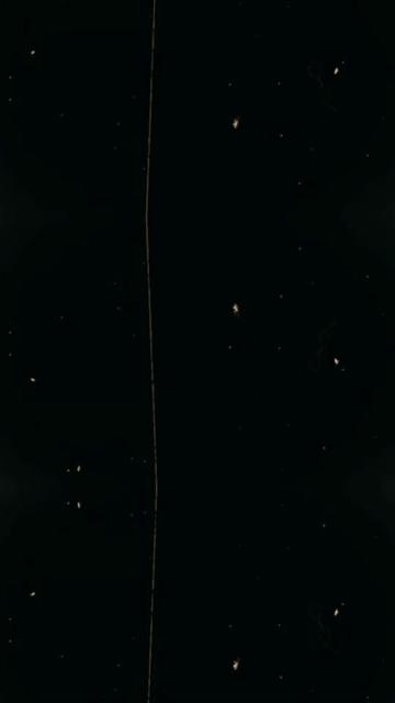 @☠️D1UR83DK1NG_DU7CH$KU11$☠️