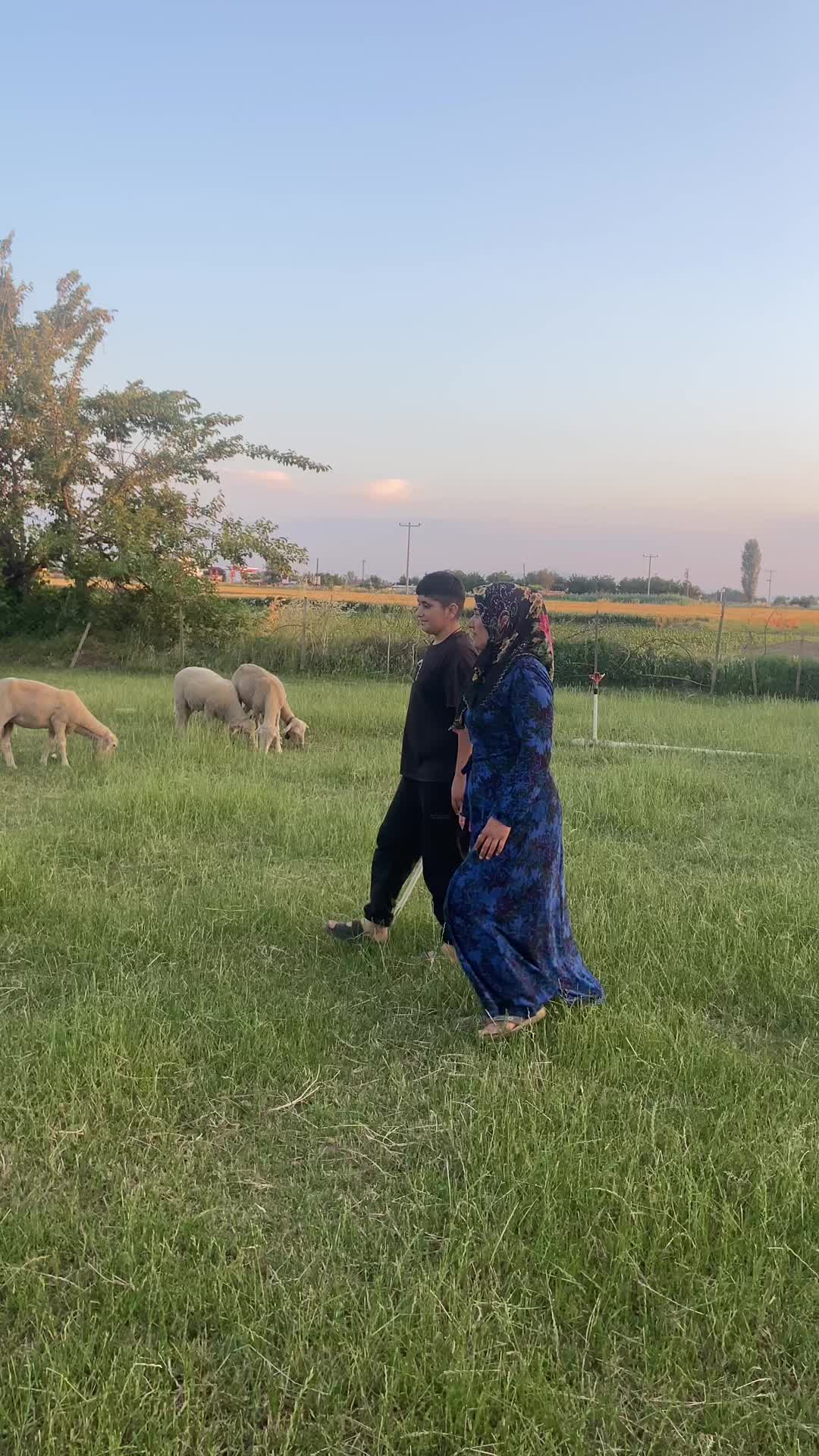 @Eşref_4721