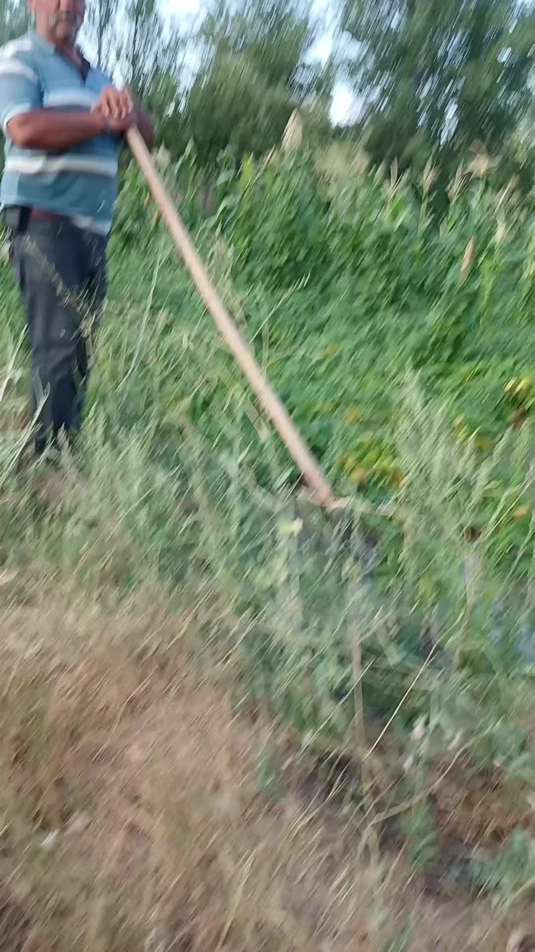 @Karadayi Karadayi