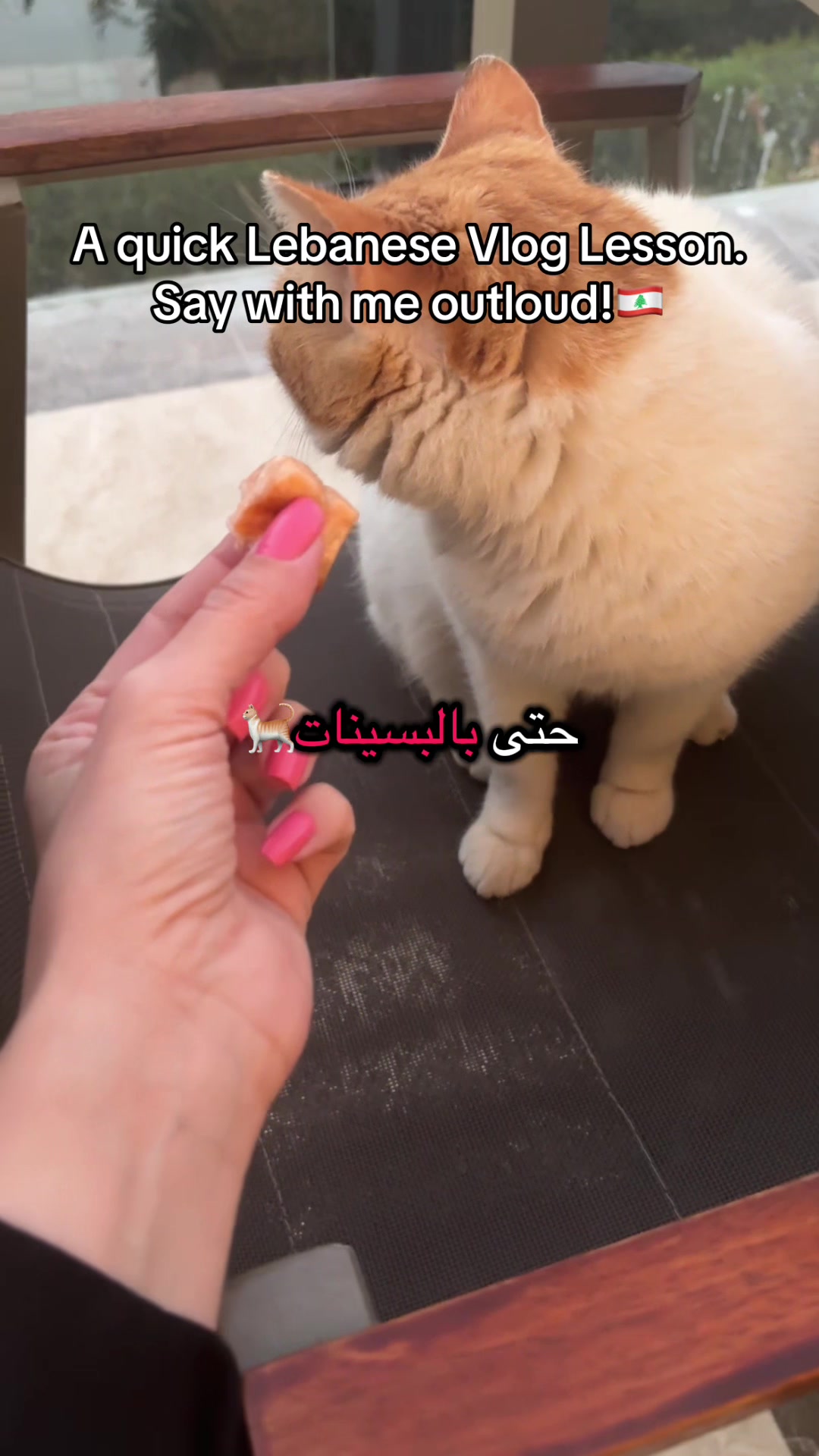 @GlobetrotWithArabic