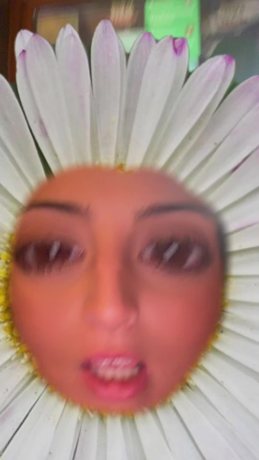 @jay&rsquo;s house