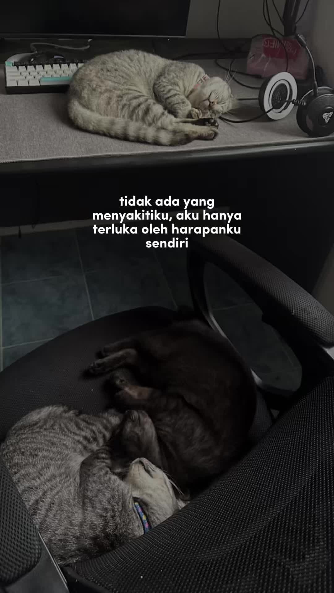 @ajiqq
