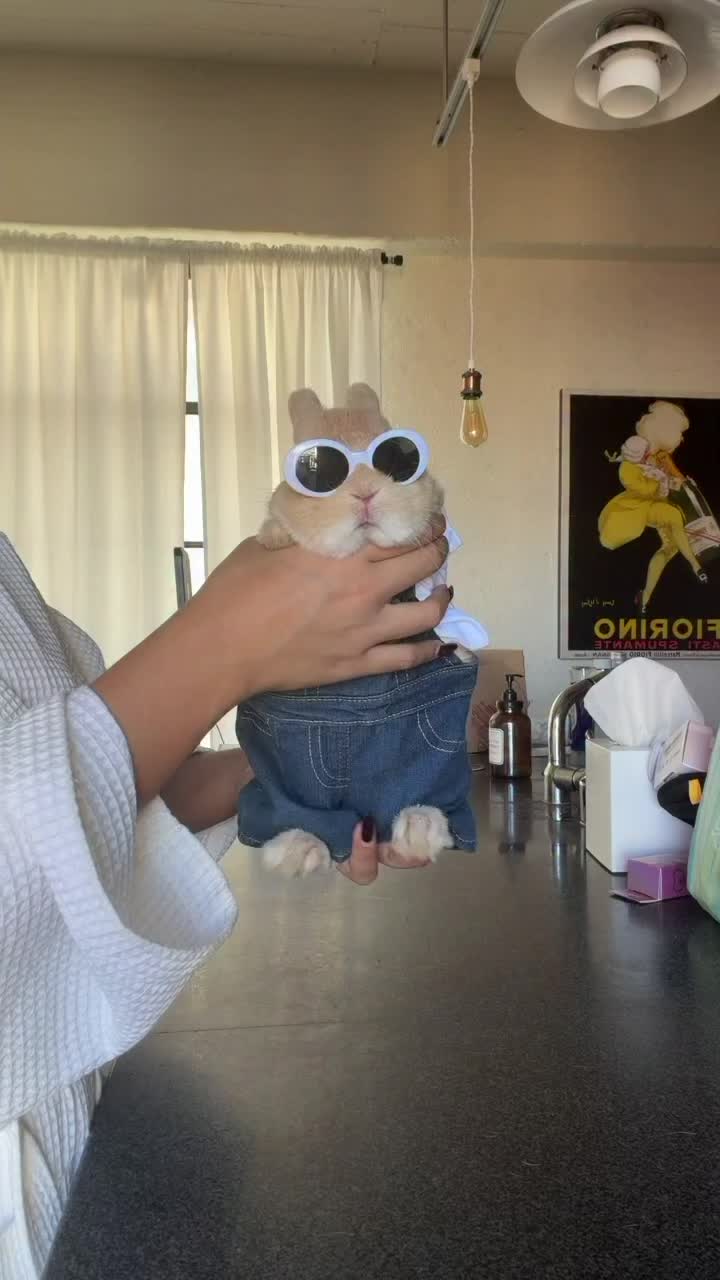 @Bunnydayoff