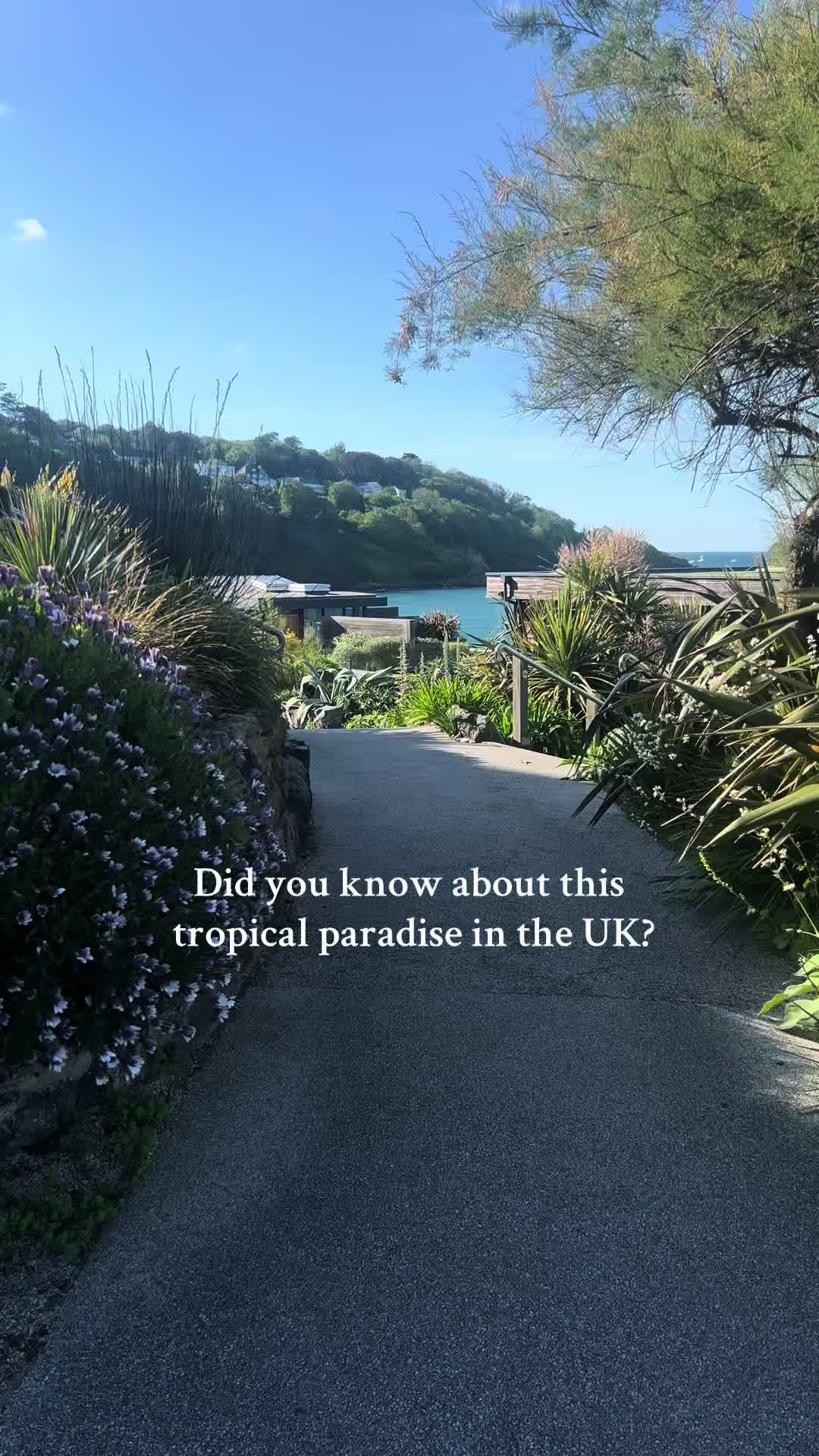 @Carbis Bay Estate