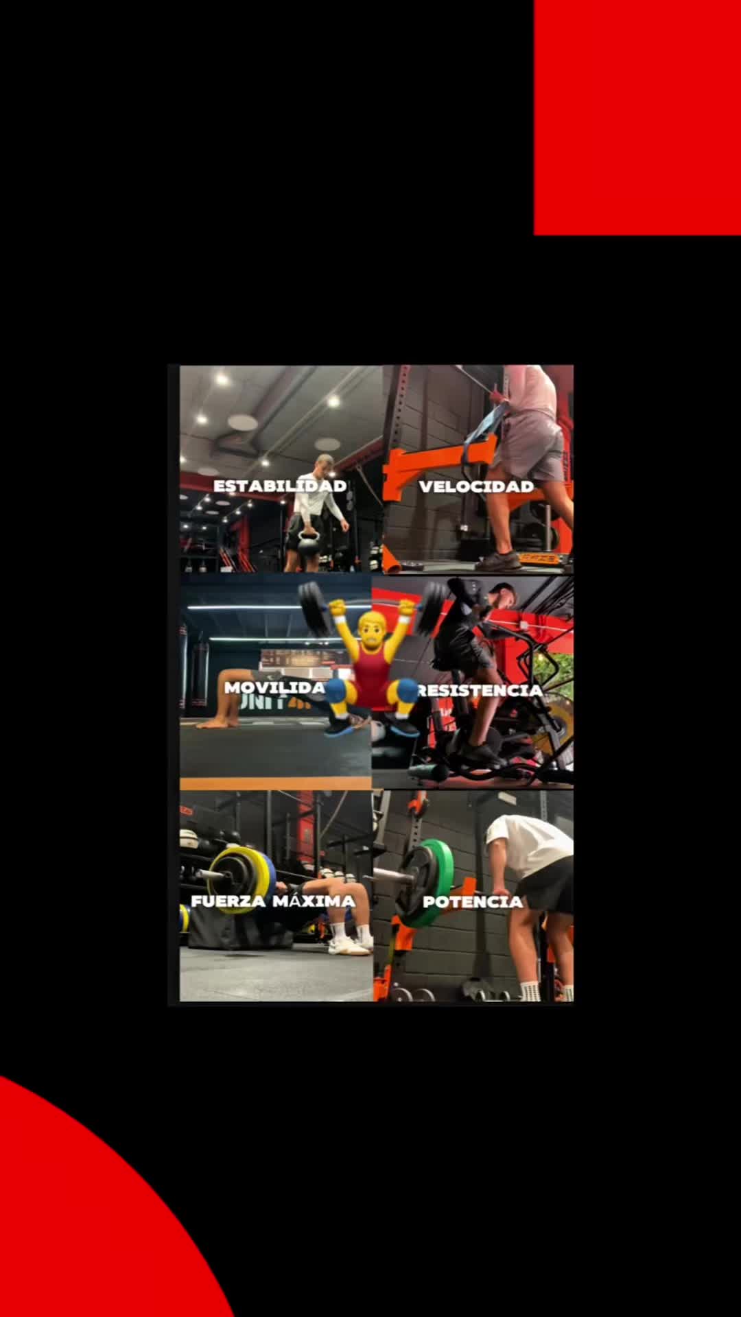 @luisarce.performancecoach