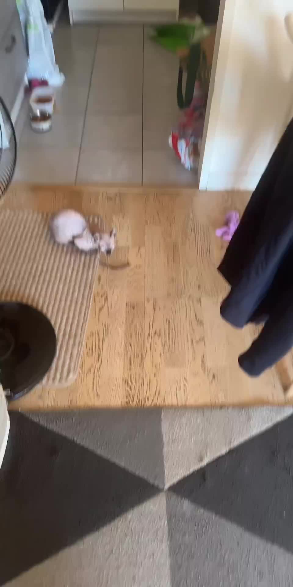 @vanilleetbeerus