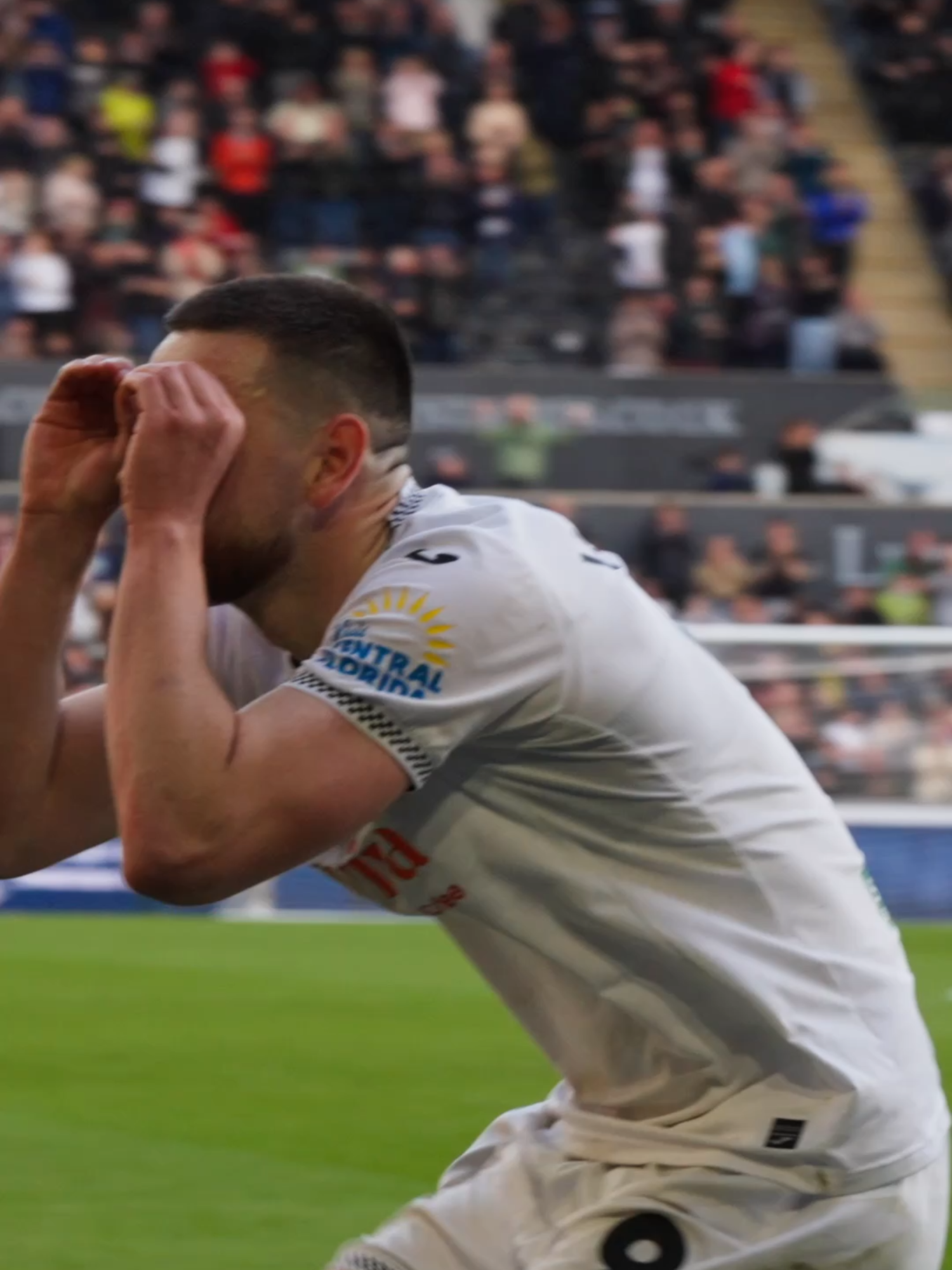 @Swansea City AFC