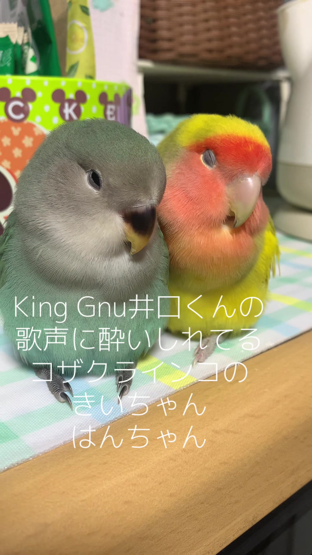 @🦜amaharu🦜
