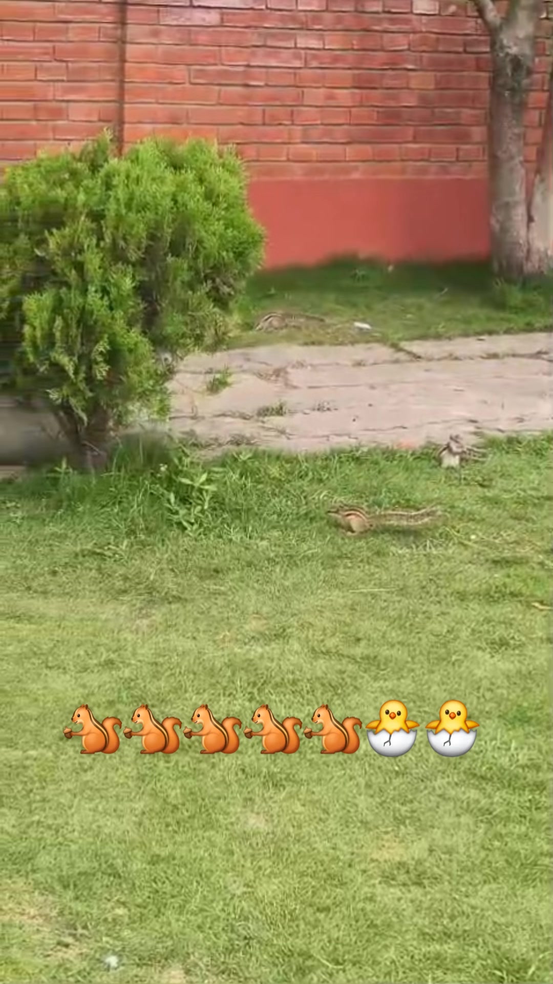 @महेन्द्र श्रेष्ठ