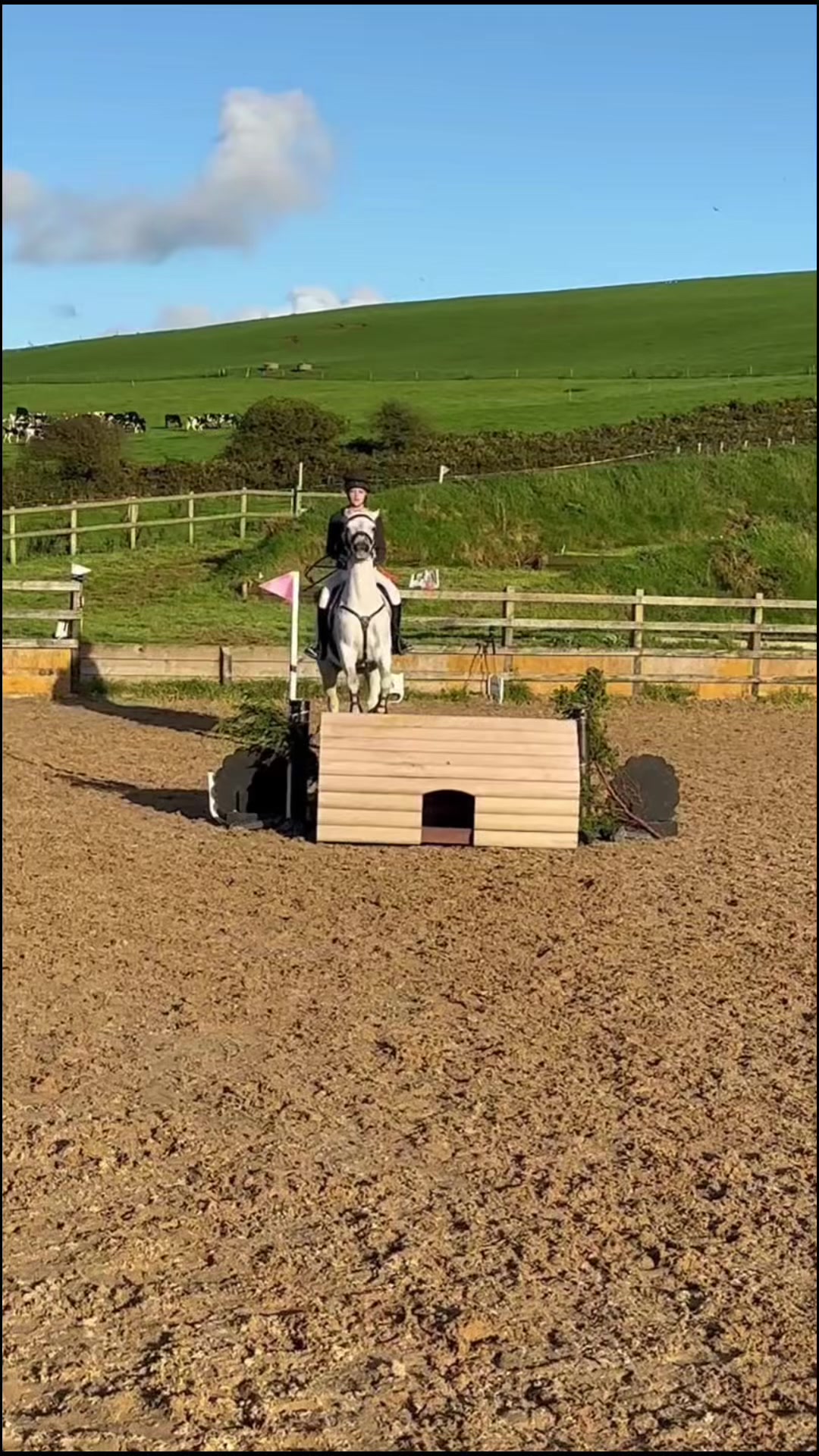 @amelia_showjumping2