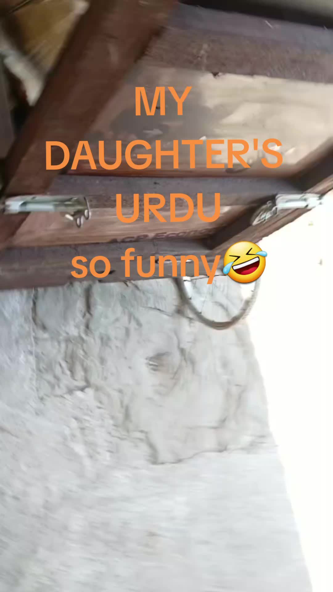 @Saba Zahim