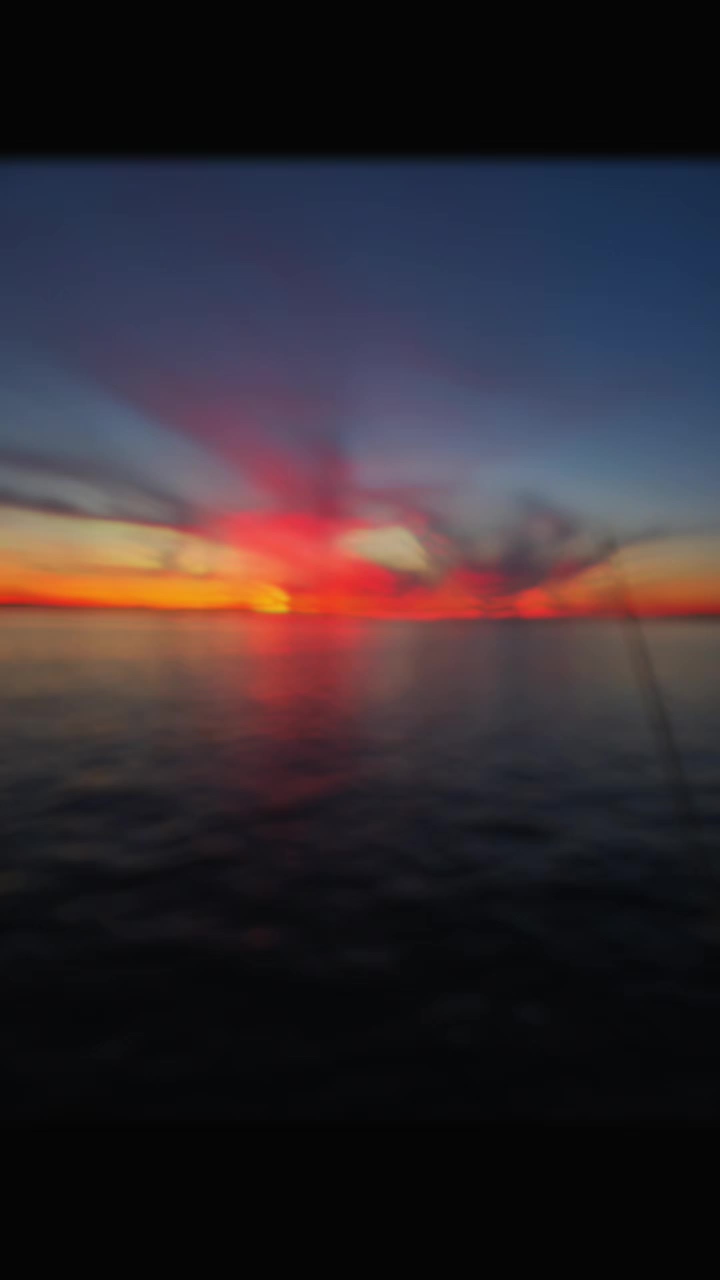 @ThatFishyVanLife