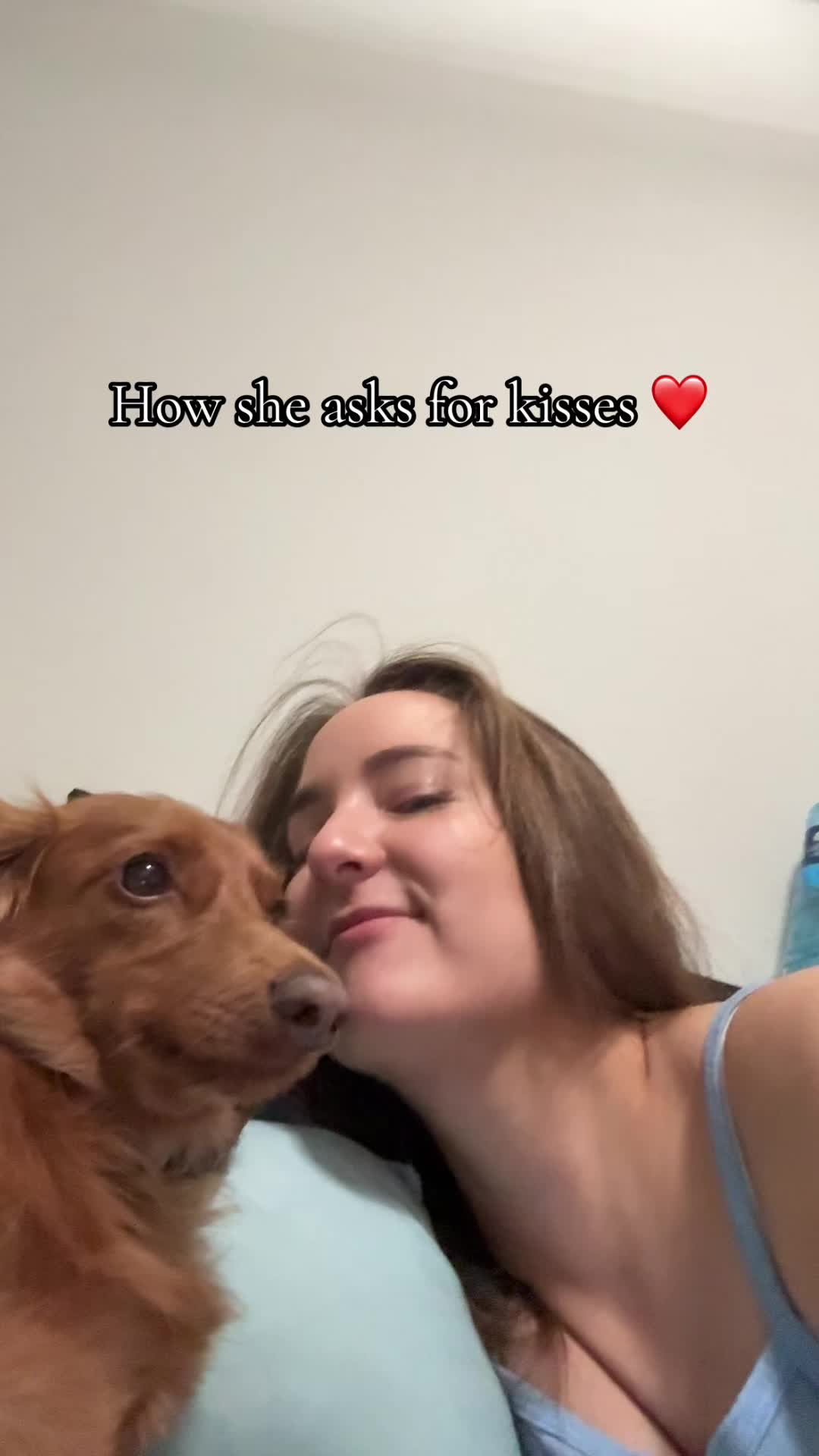 @Penny Pawkit
