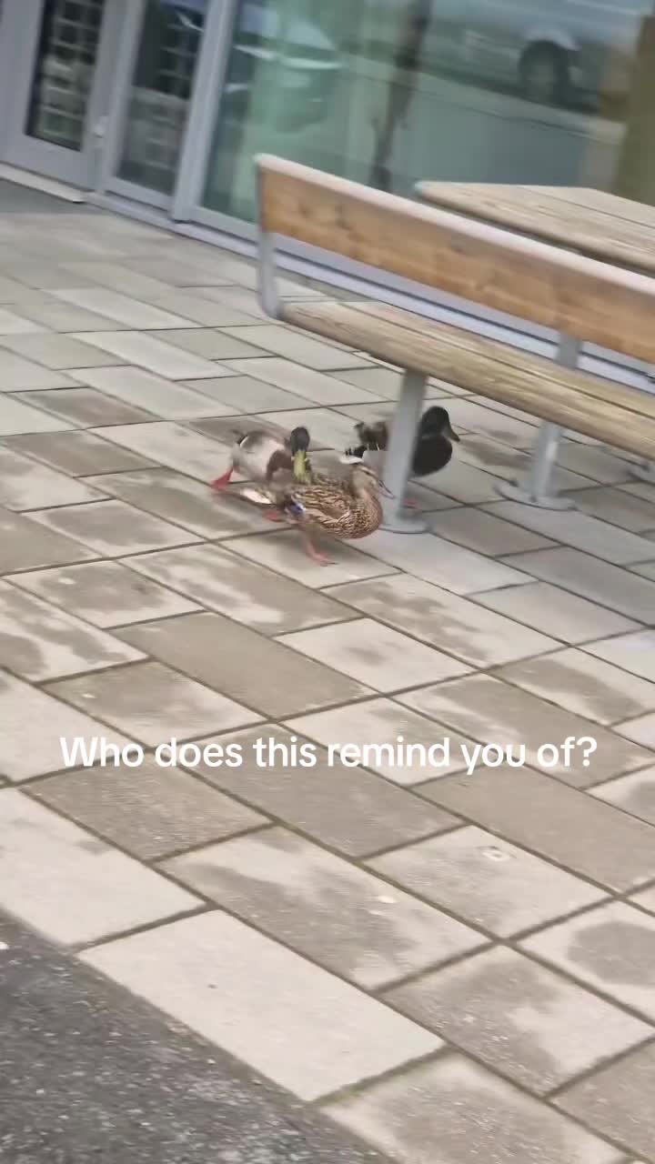@Friluftsliv