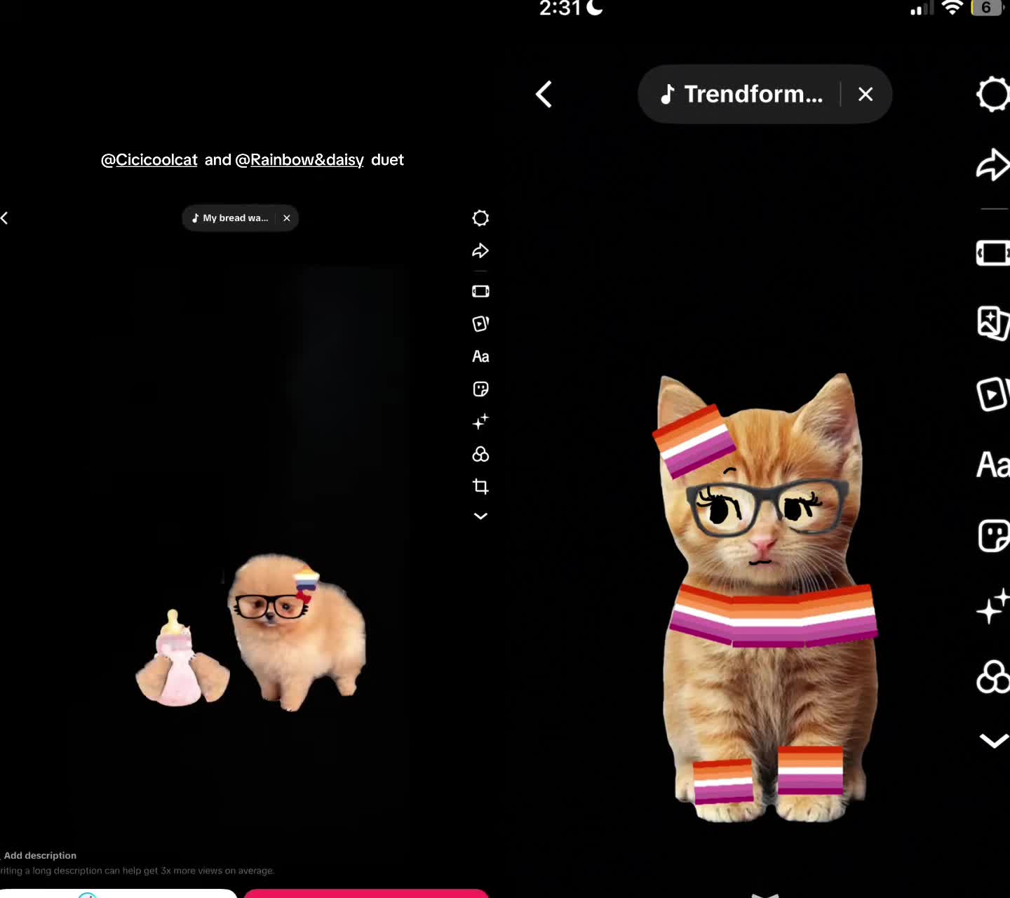 @Cici cool cat