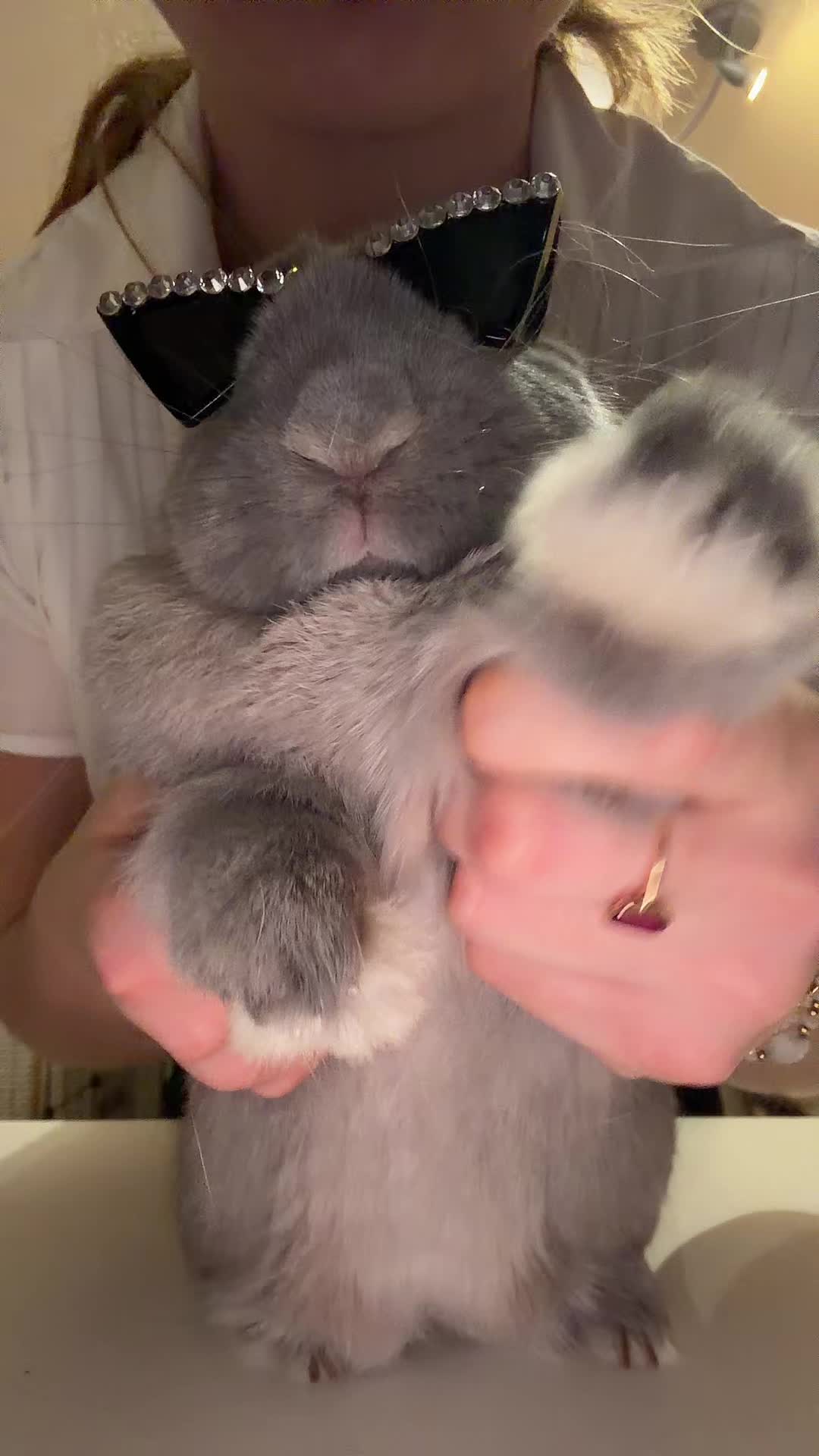 @PantoufleLapin