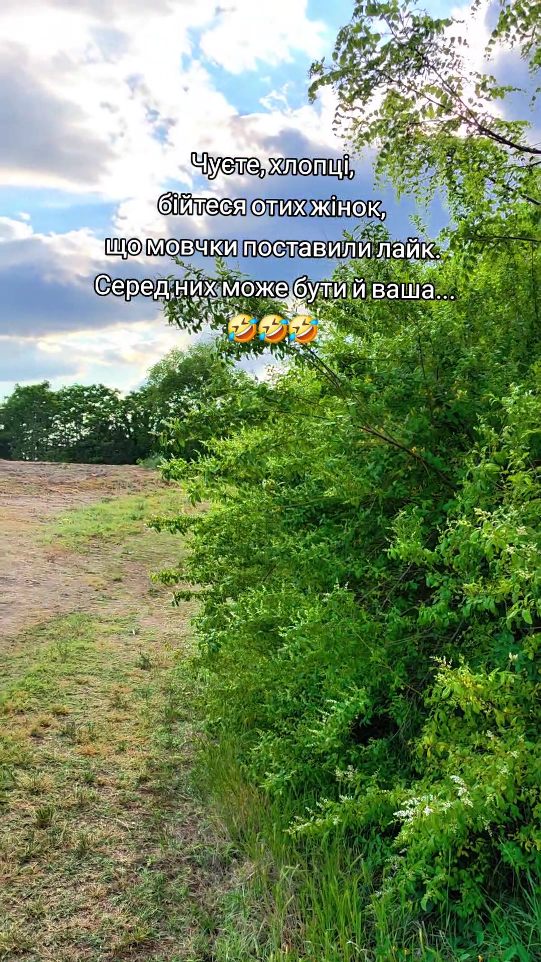 @Nata Liya