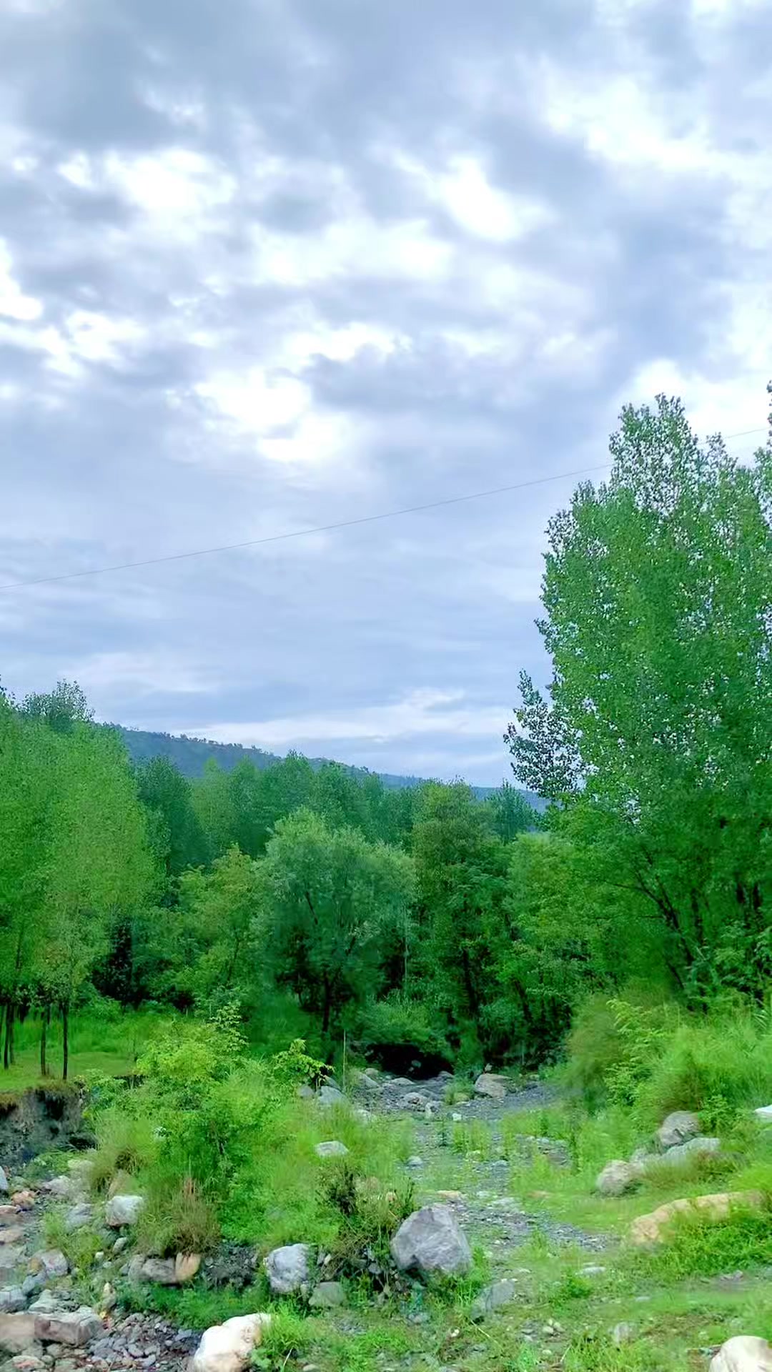 @𝗛𝗔𝗠𝗔𝗗_𝗞𝗔𝗟𝗠𝗔𝗧𝗶 🇩🇯
